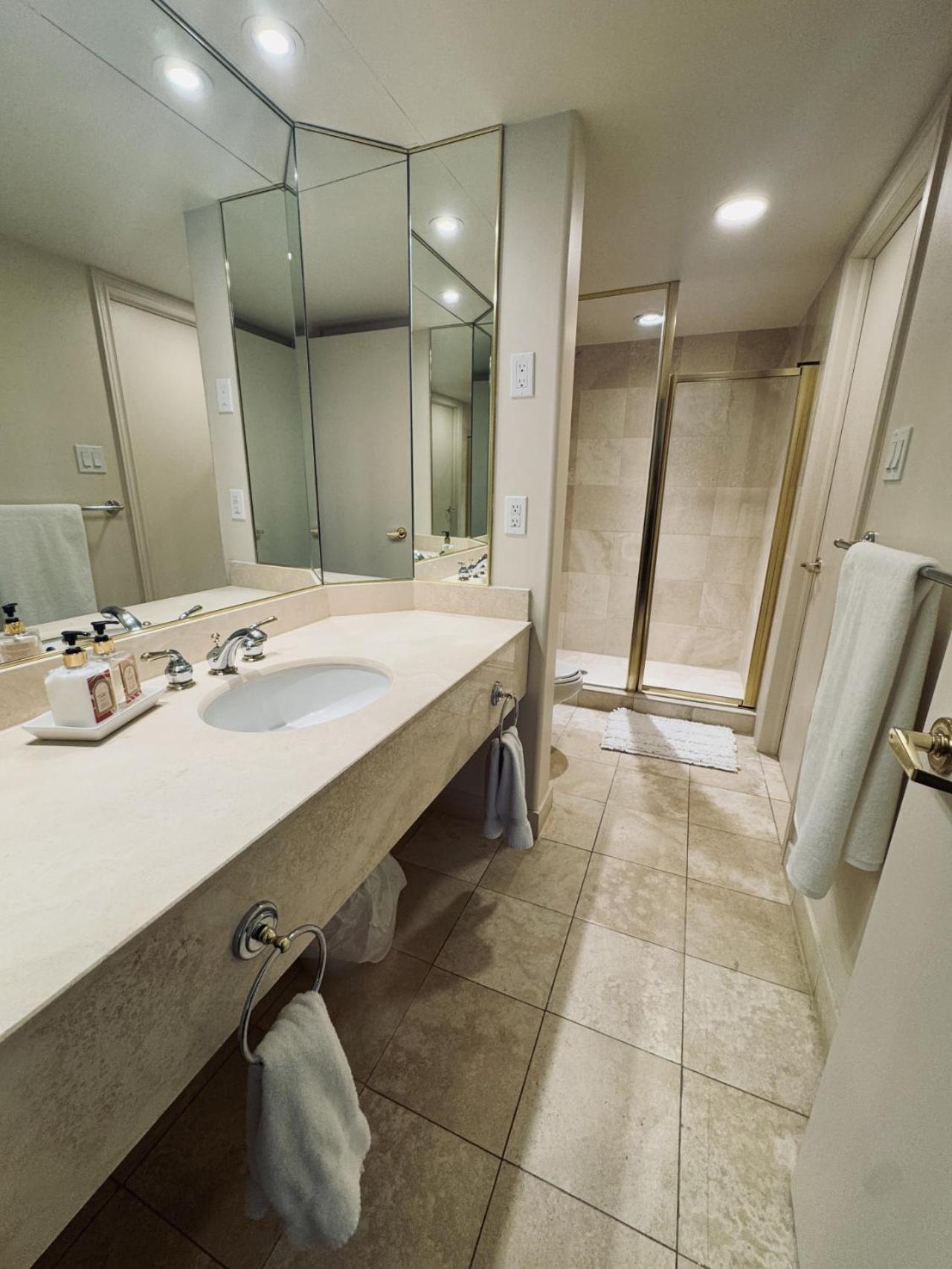 Luxurious Ski-In Ski-Out Jacuzzi Condo with King Bed, Pool, Gym and Sauna