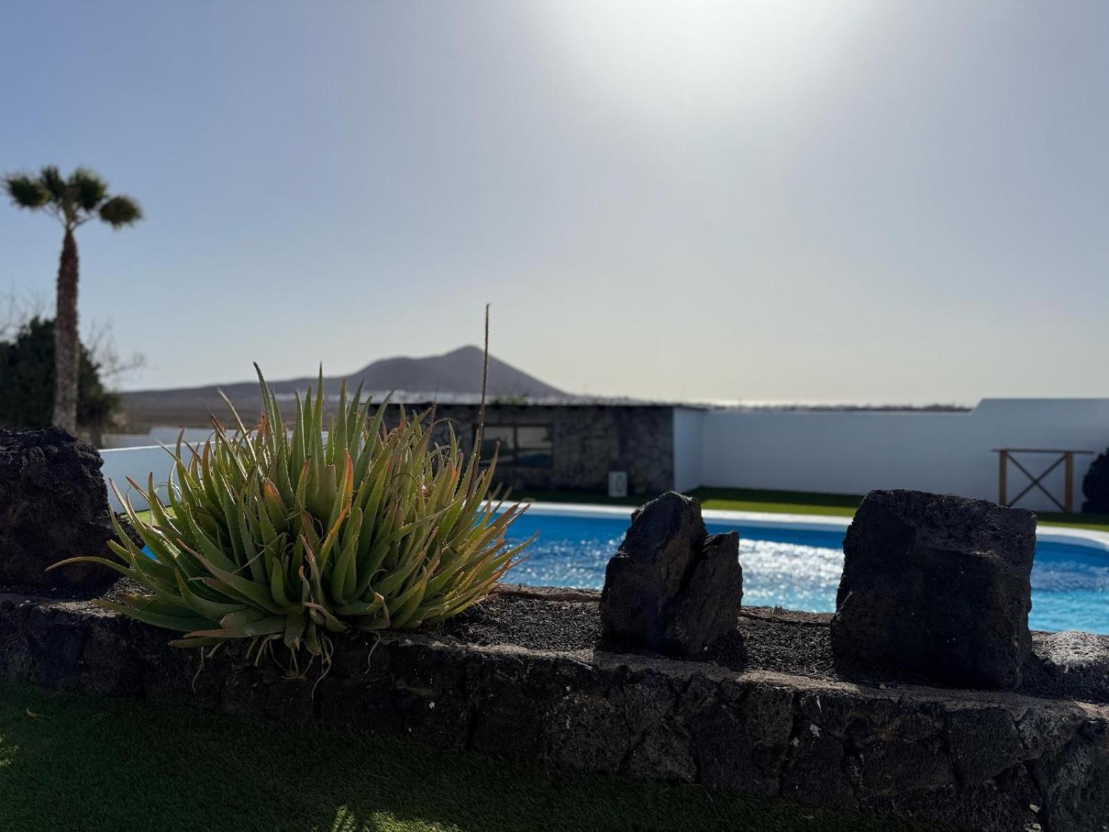 Canaryislandshost l Olympica
