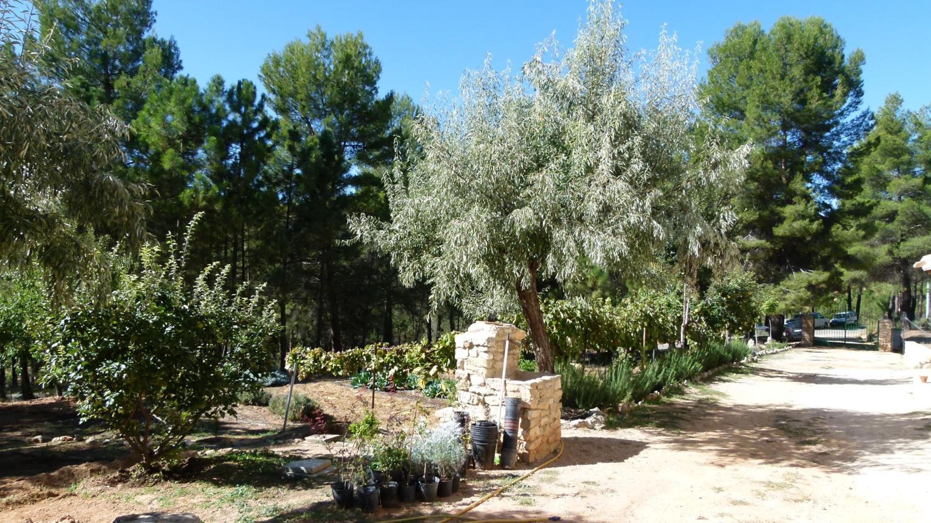 Cortijo Covaroca