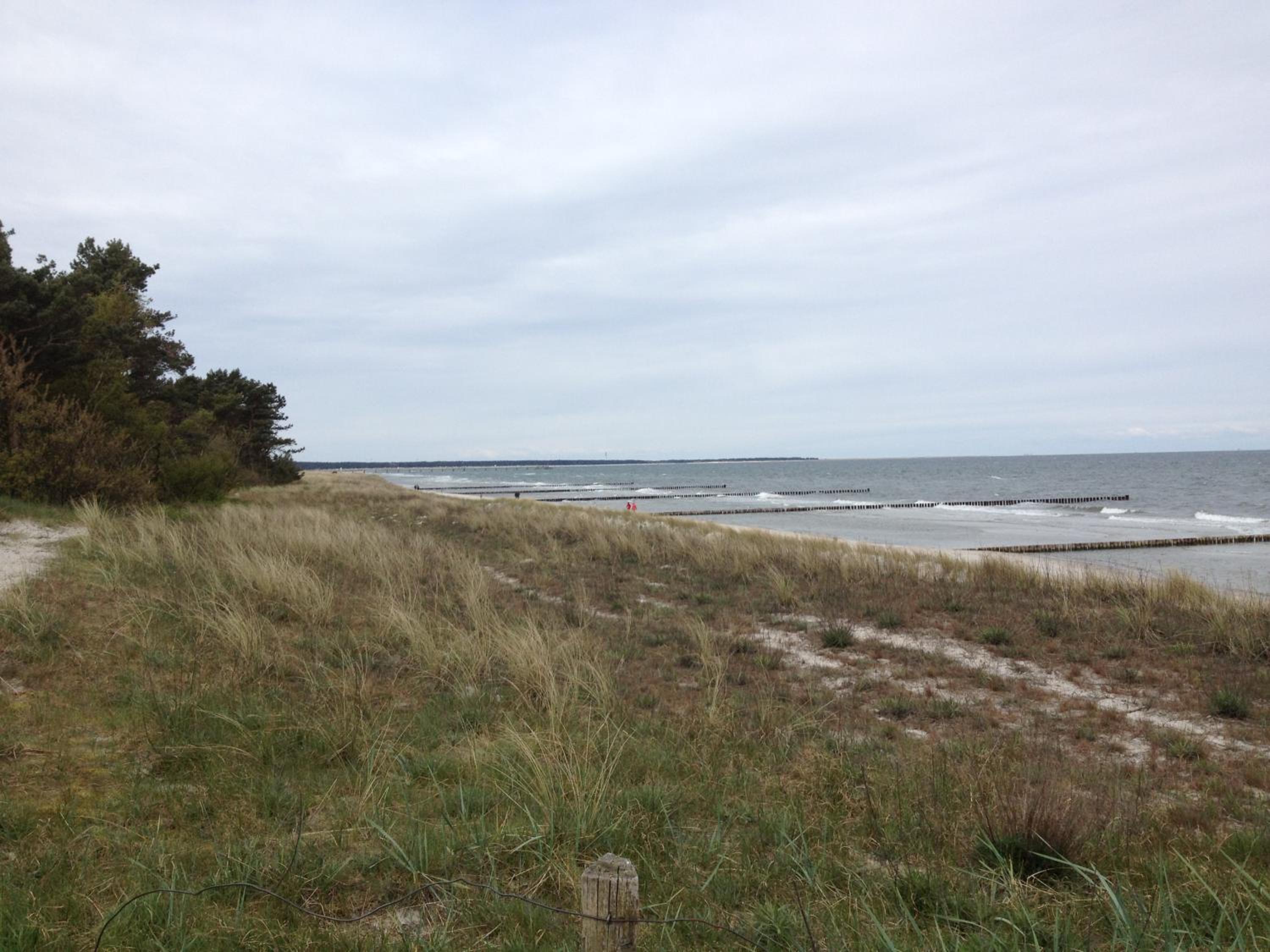 Photo 24