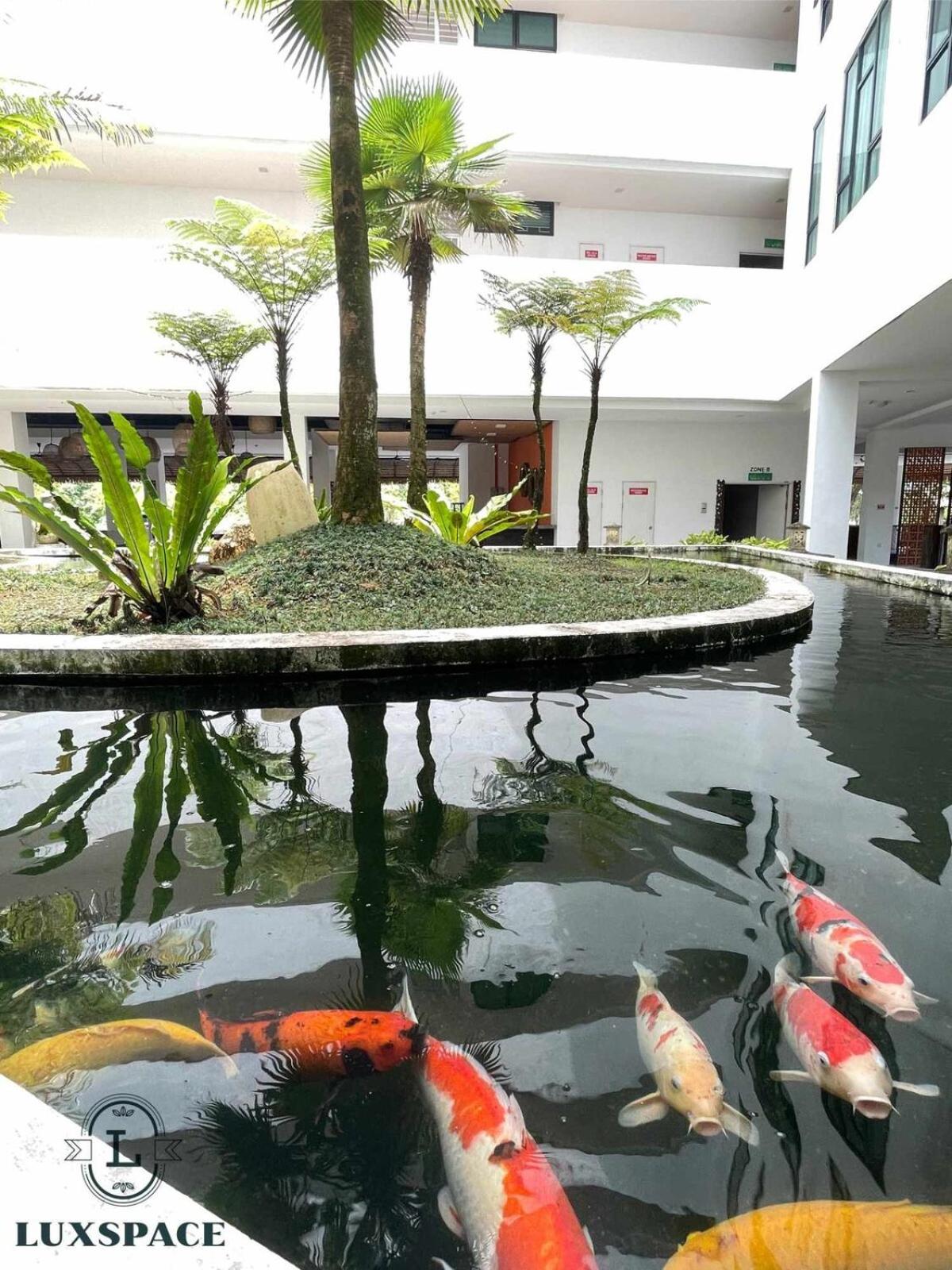 Kuching BDC Rex Apartment Near KPJ