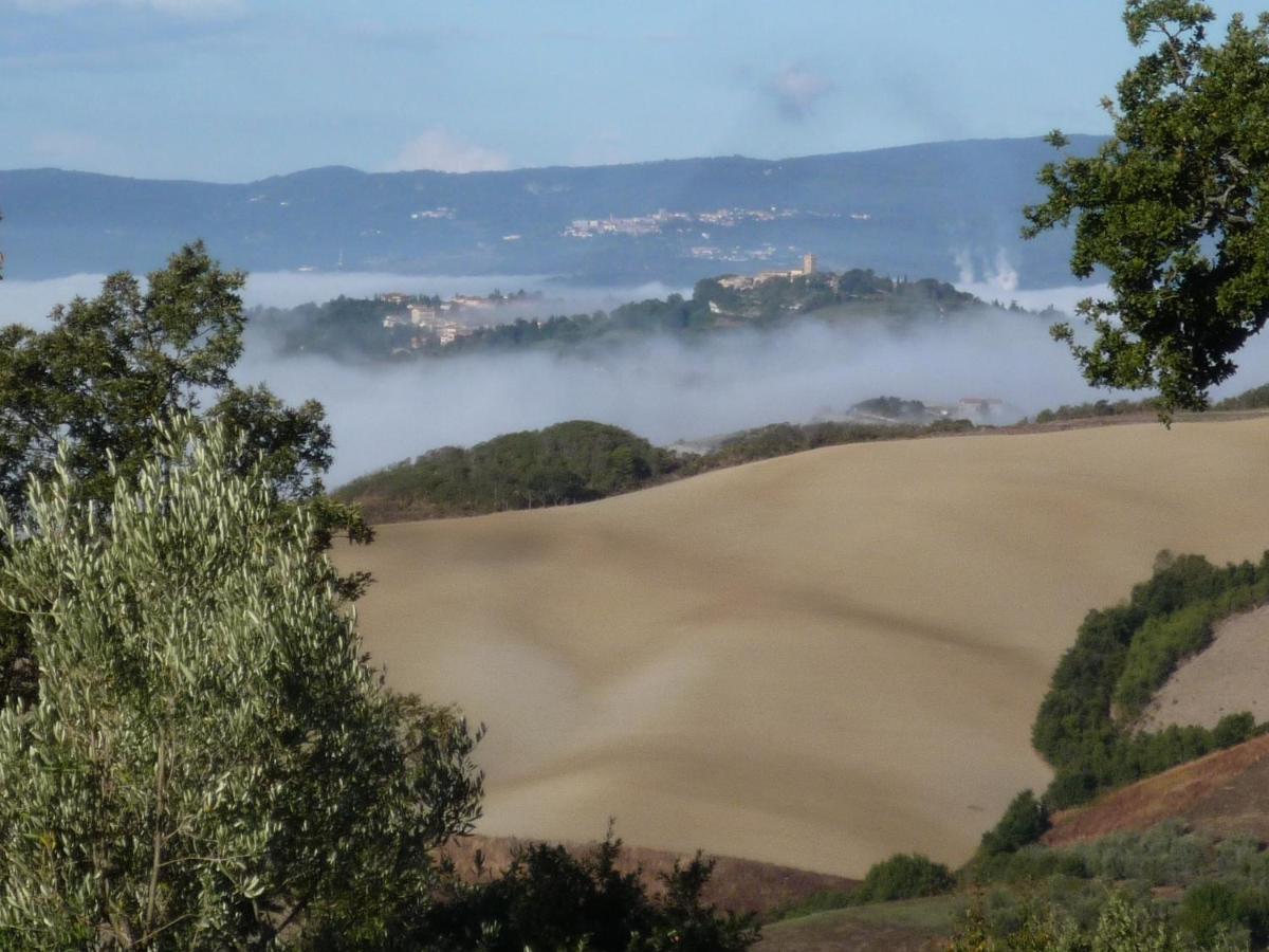 Il Podere Degli Artisti