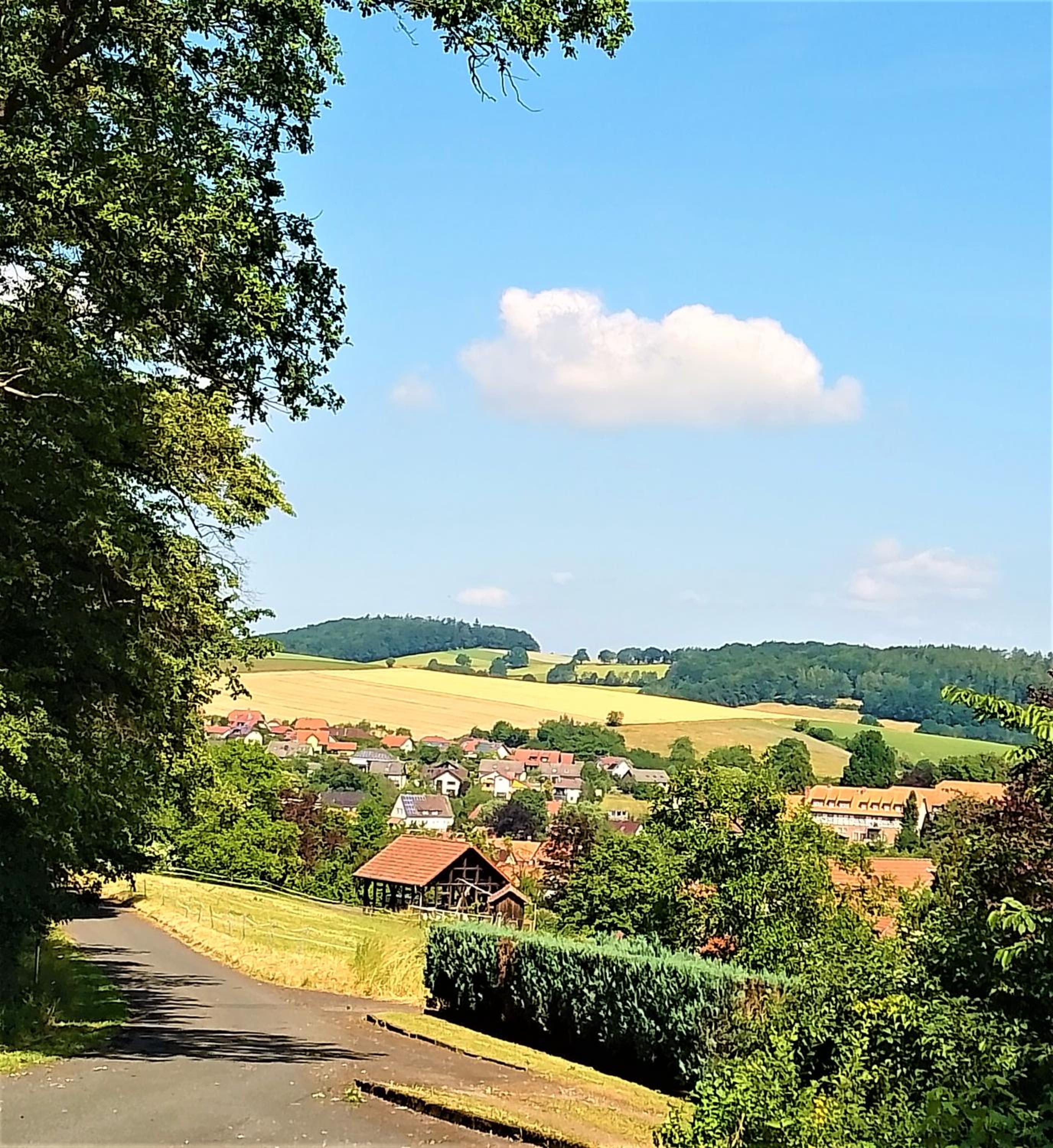 Fuchs & Hase im 