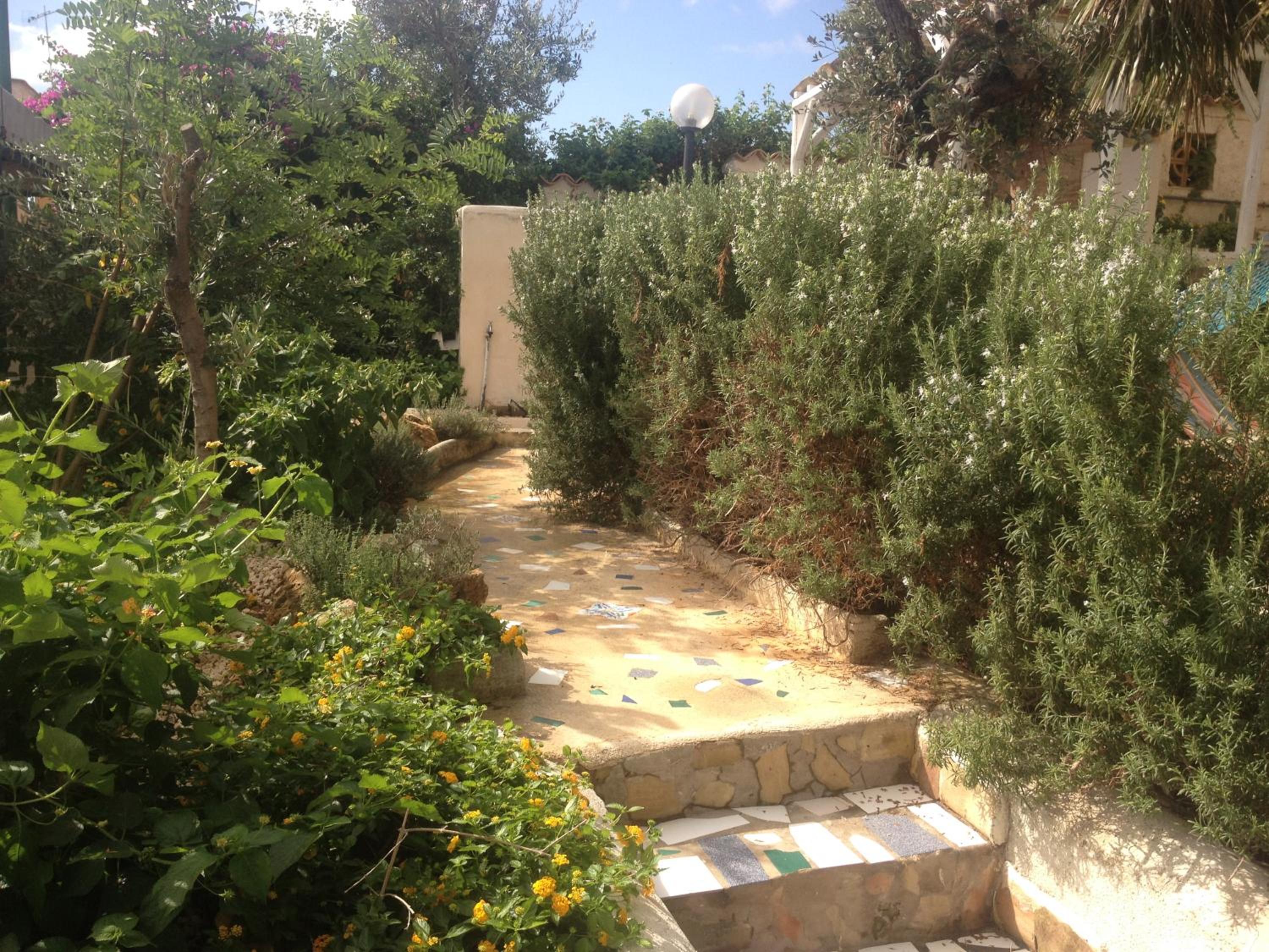 Photo 41