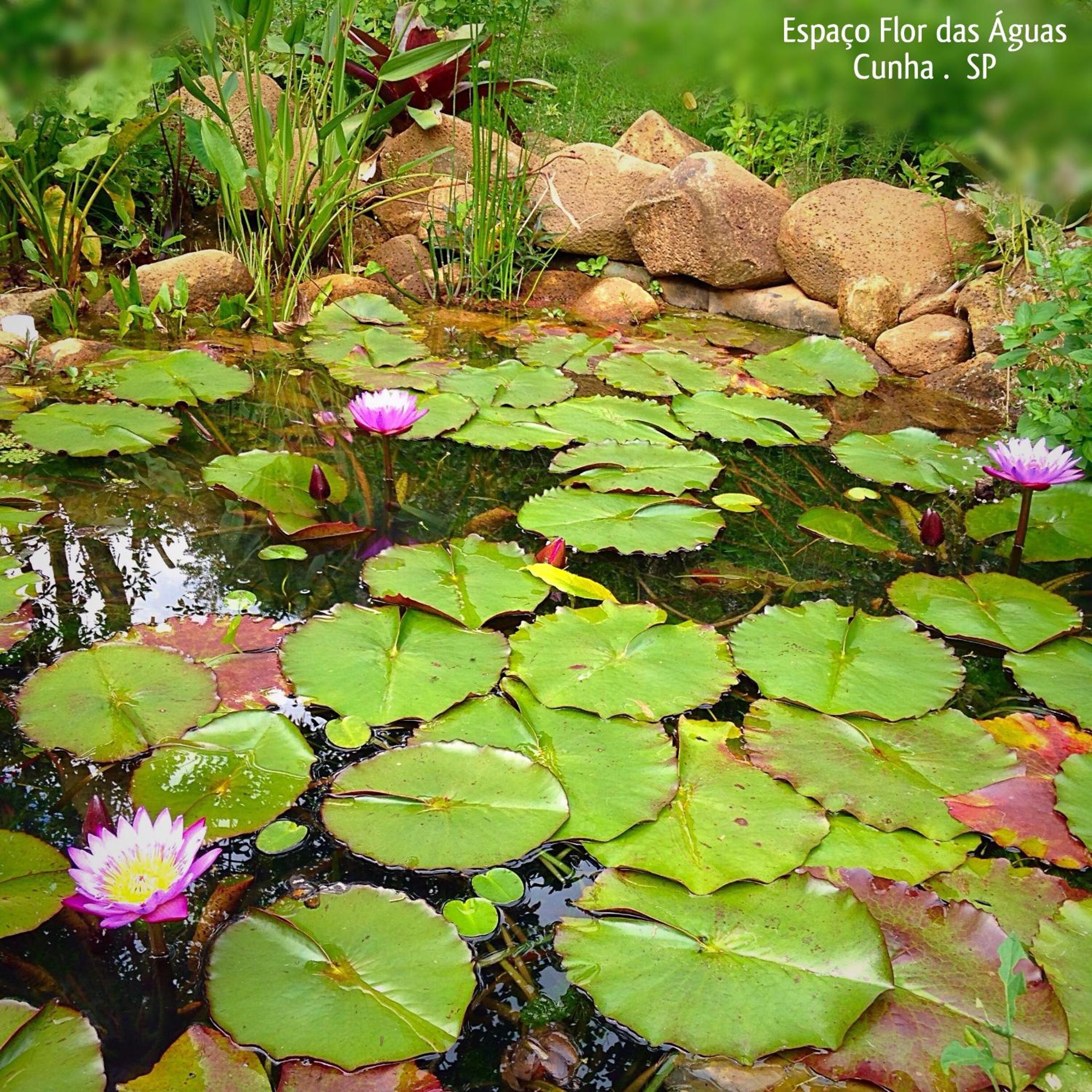 Espaço Flor Das Águas