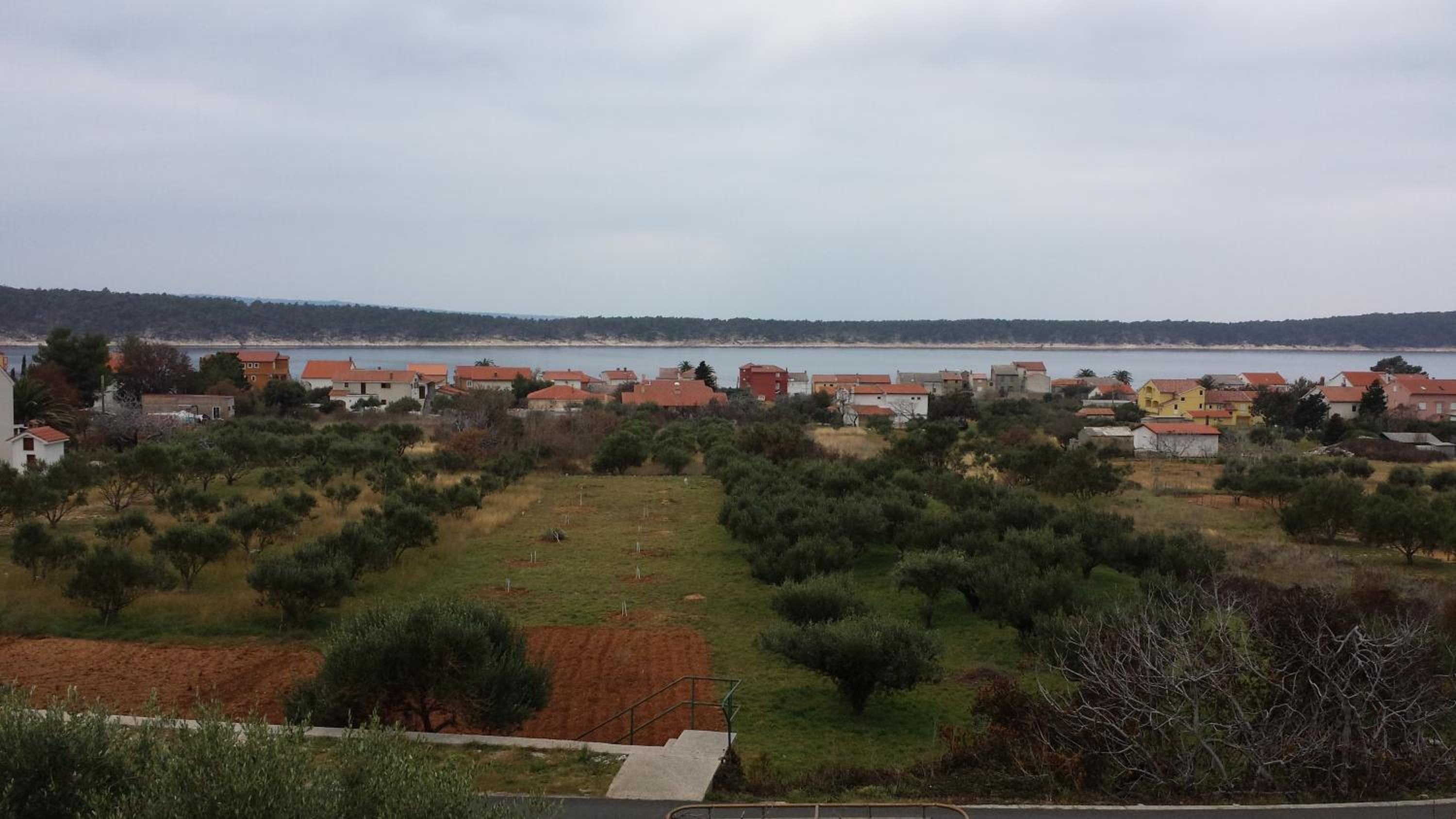 Photo 47