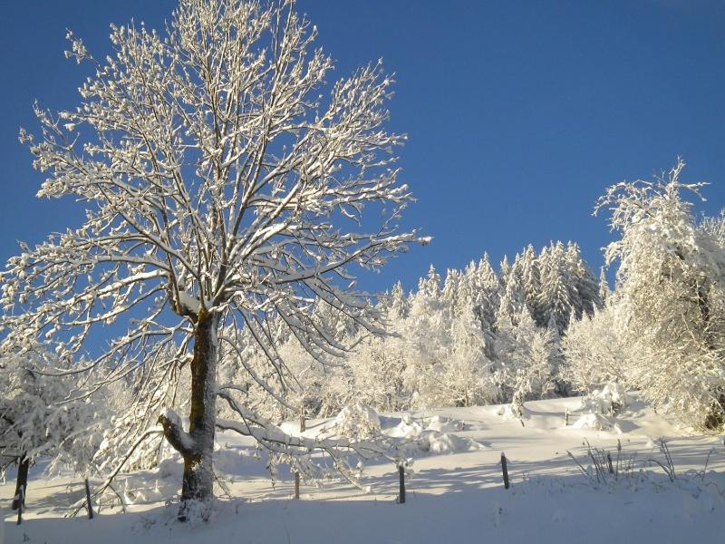 Höhenstein