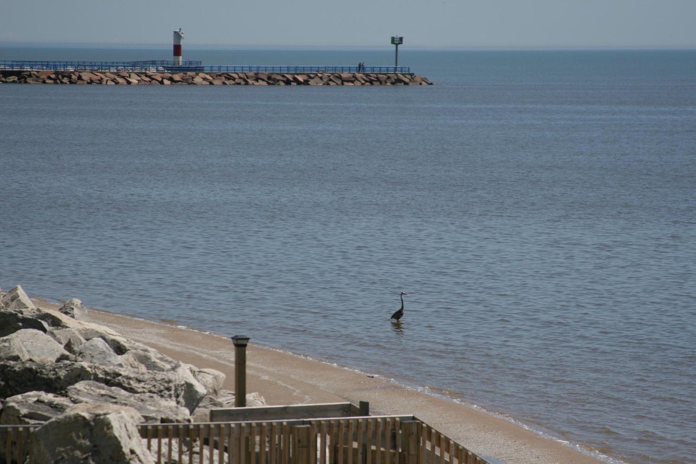 Lighthouse Inn - Two Rivers