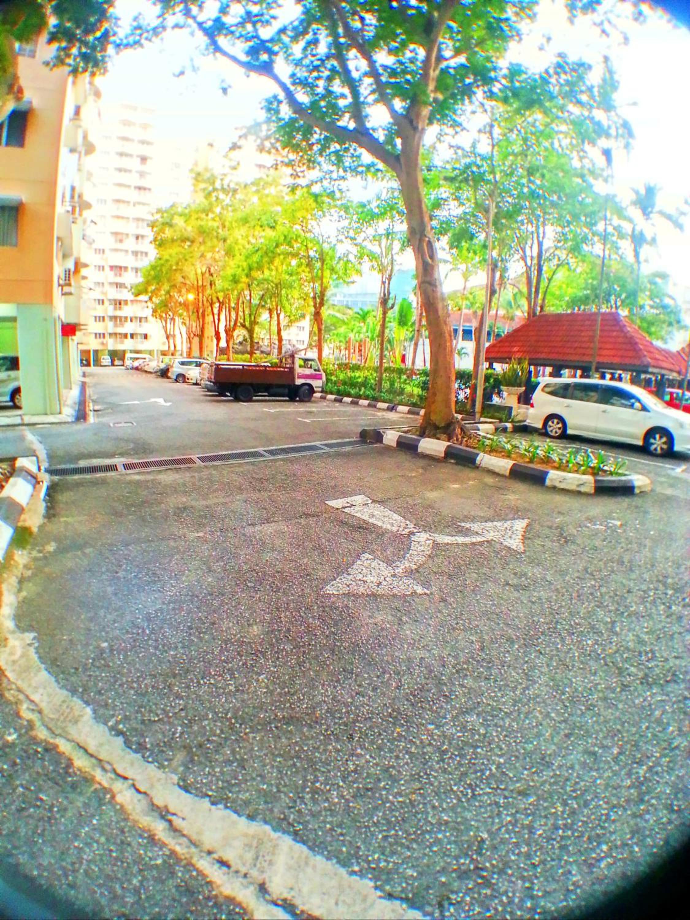 Photo 36