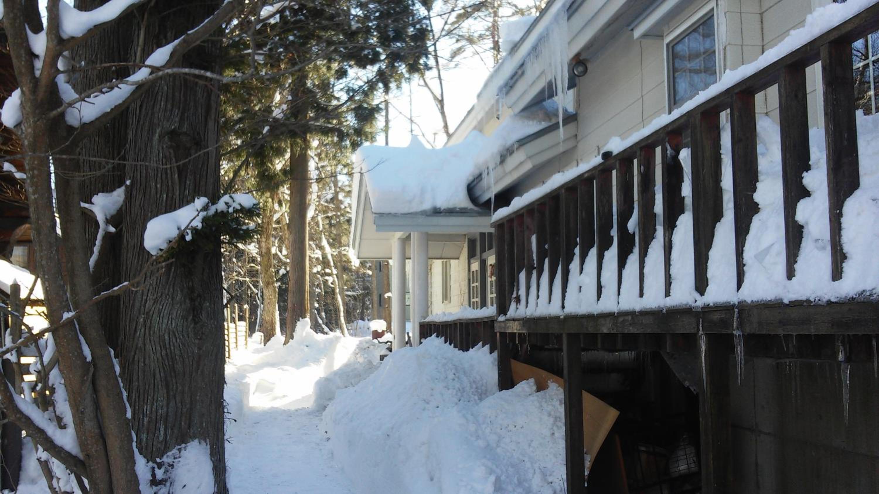 Hakuba Haven Lodge
