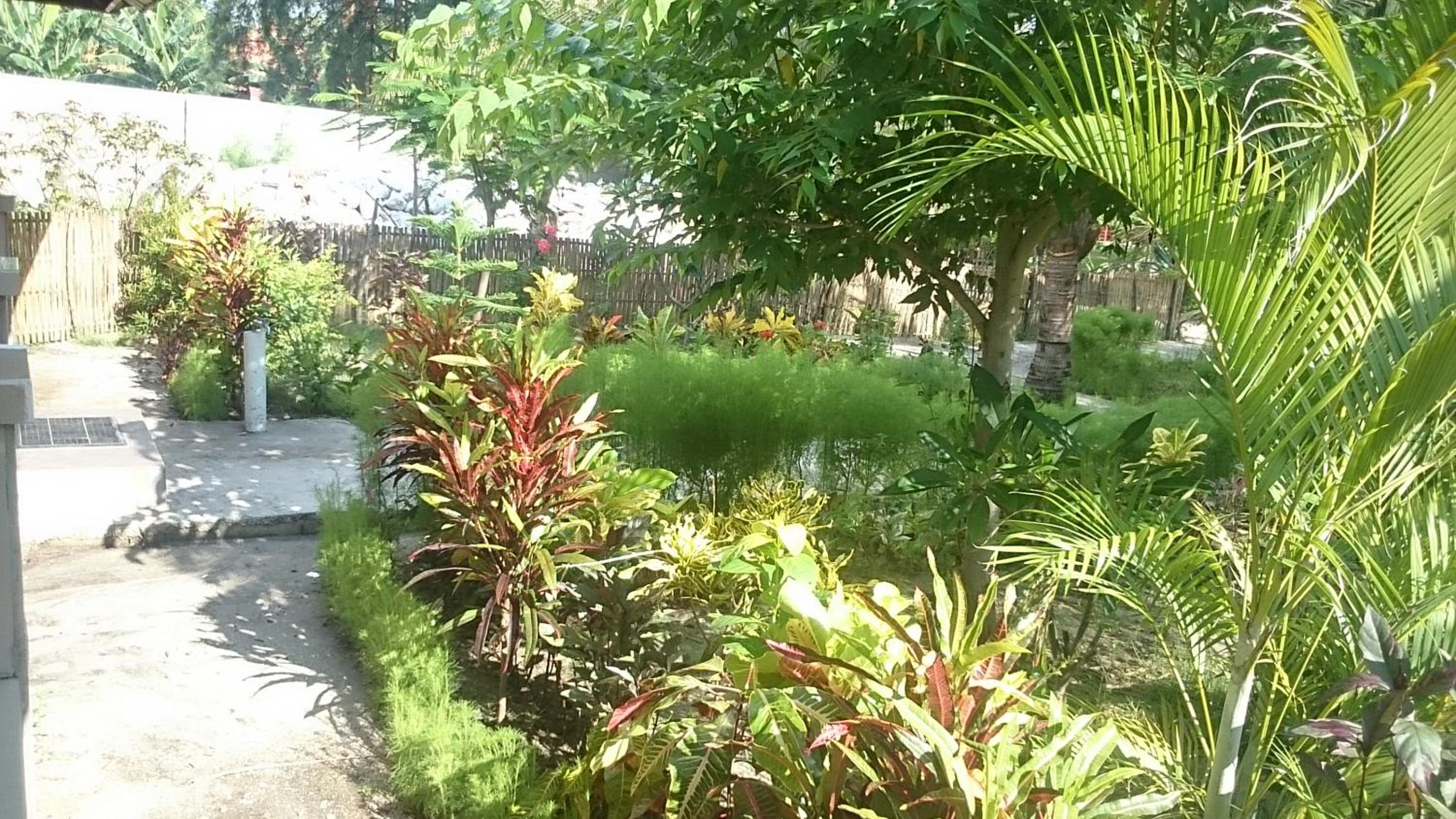 Photo 36