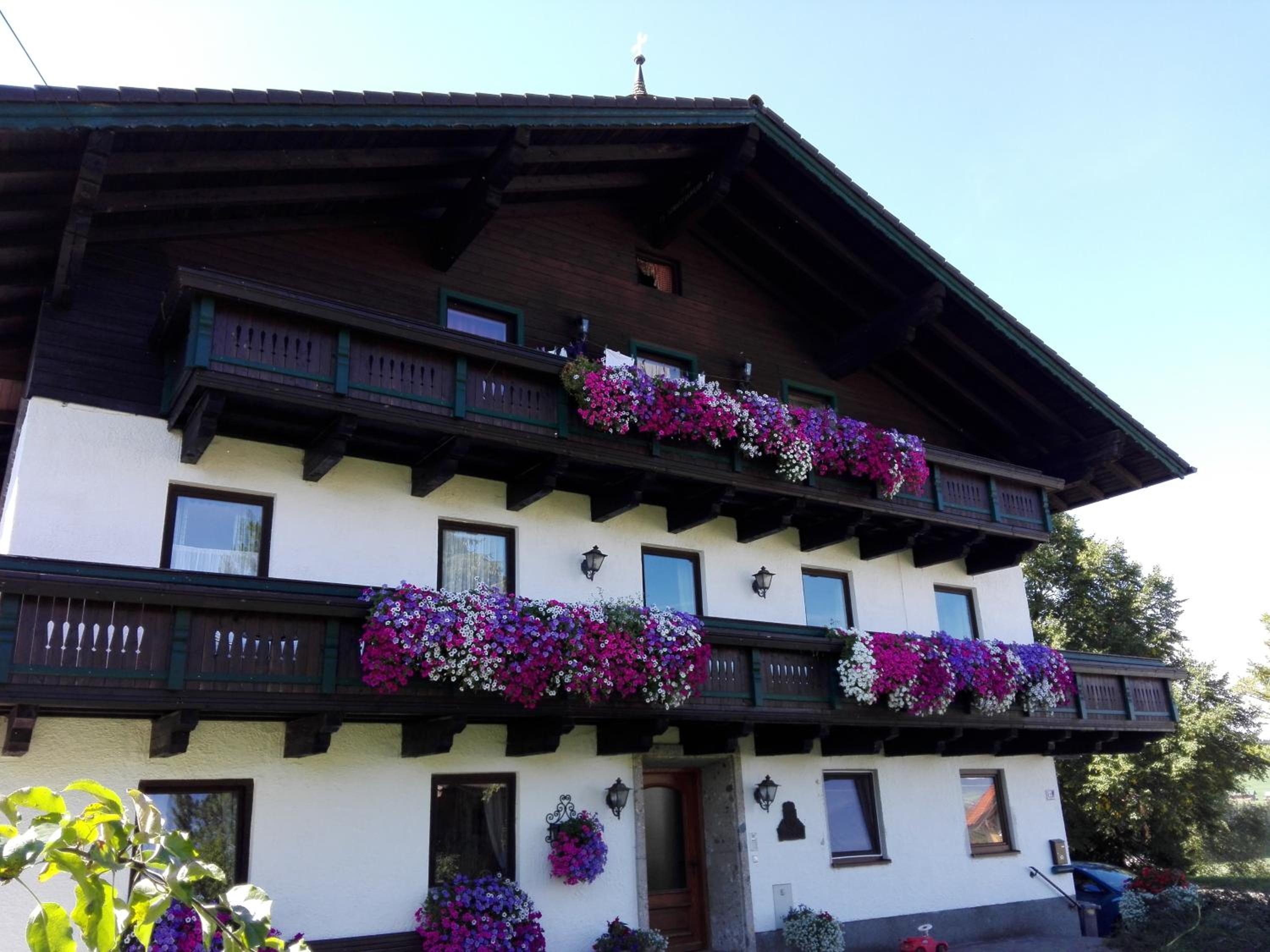 Schusterbauer