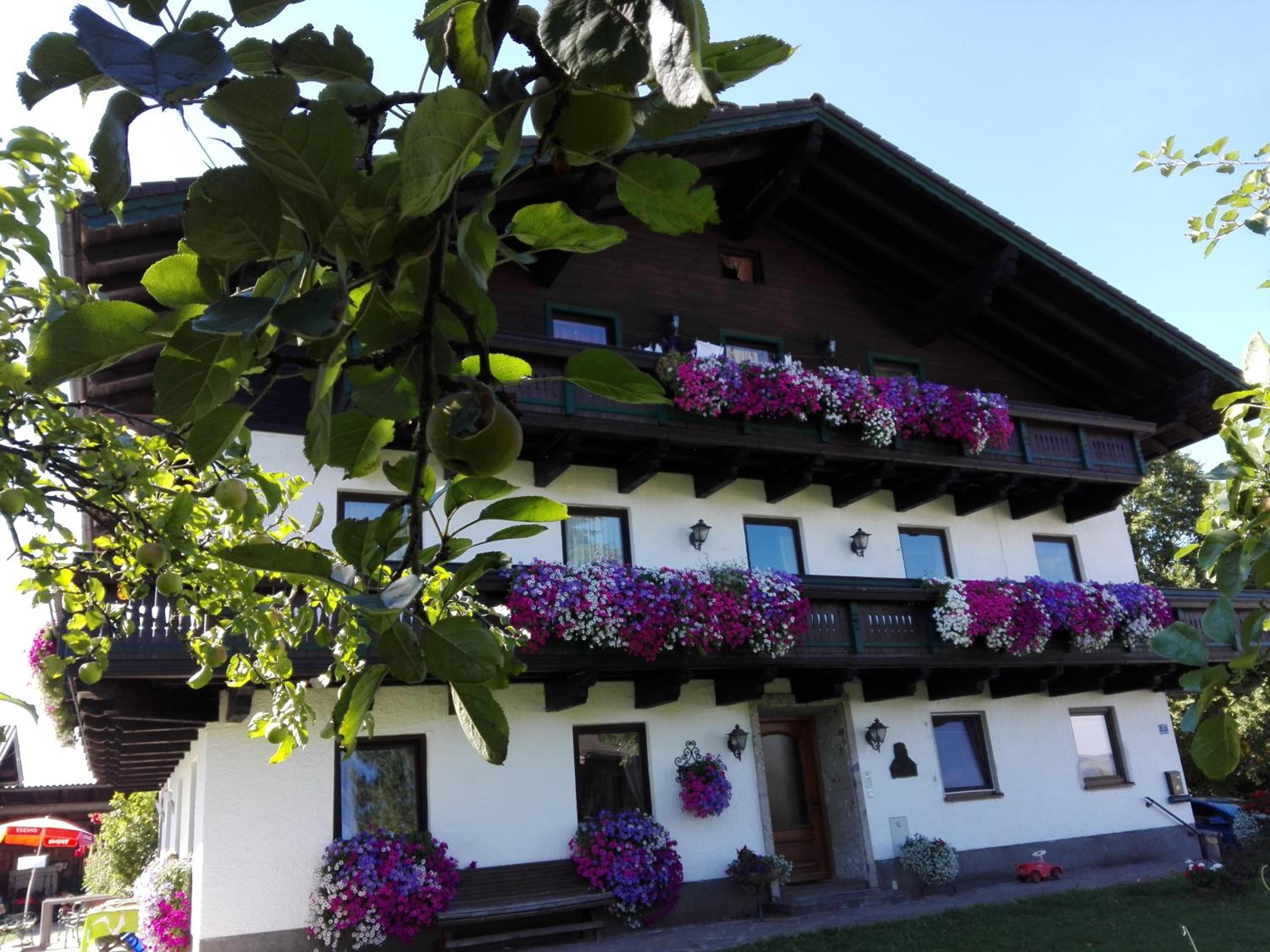 Schusterbauer