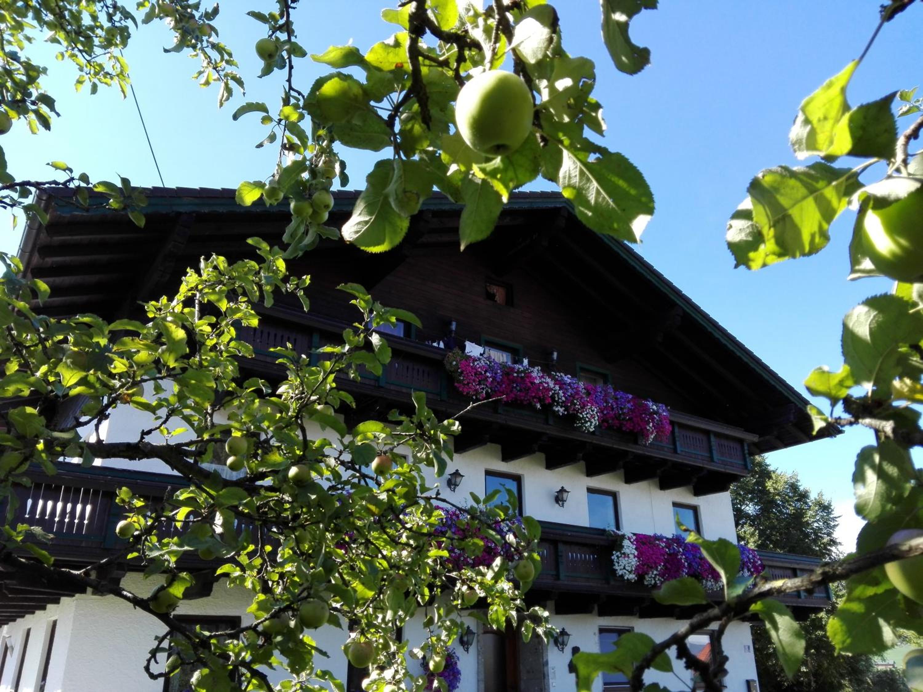 Schusterbauer
