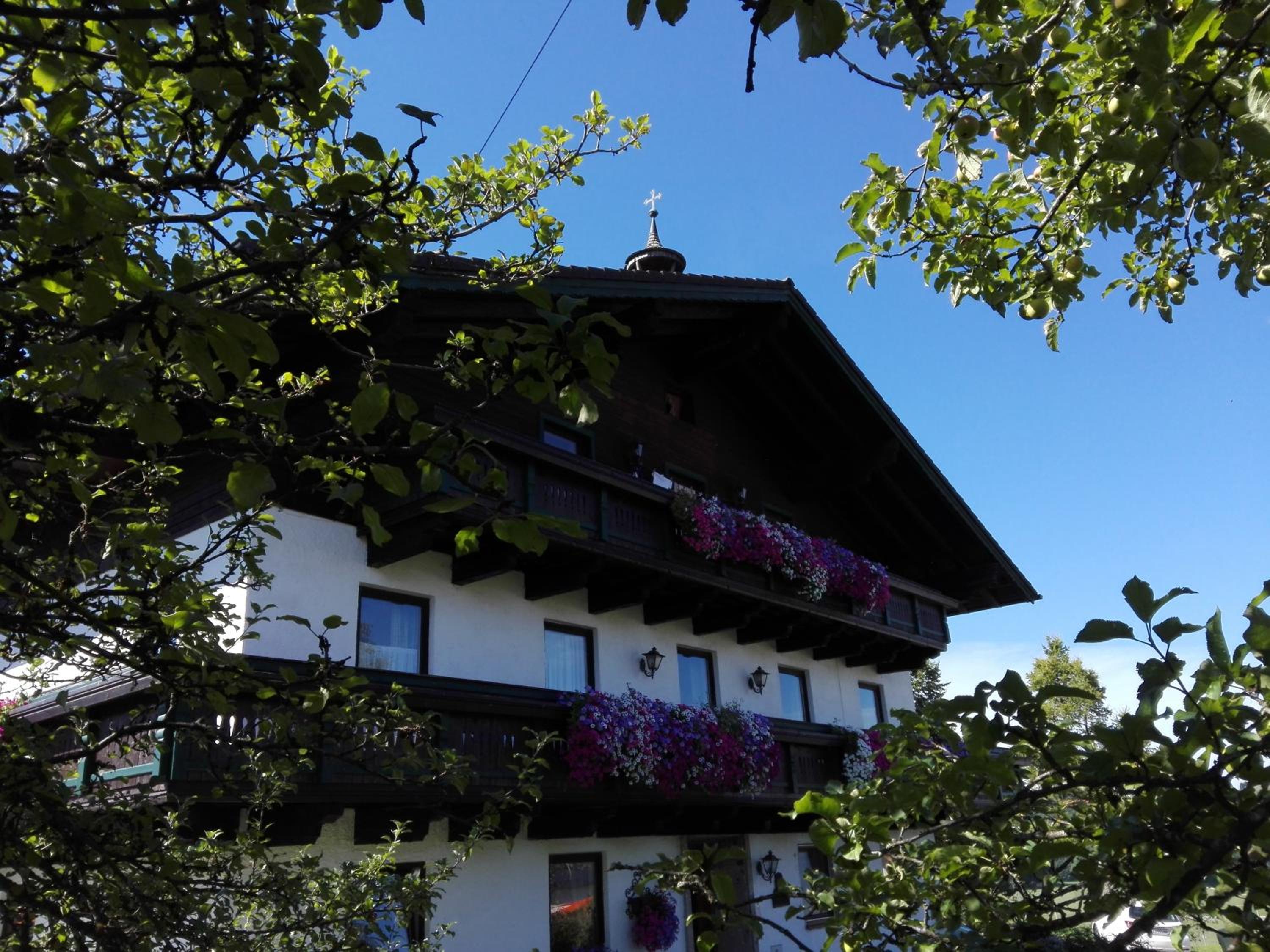 Schusterbauer