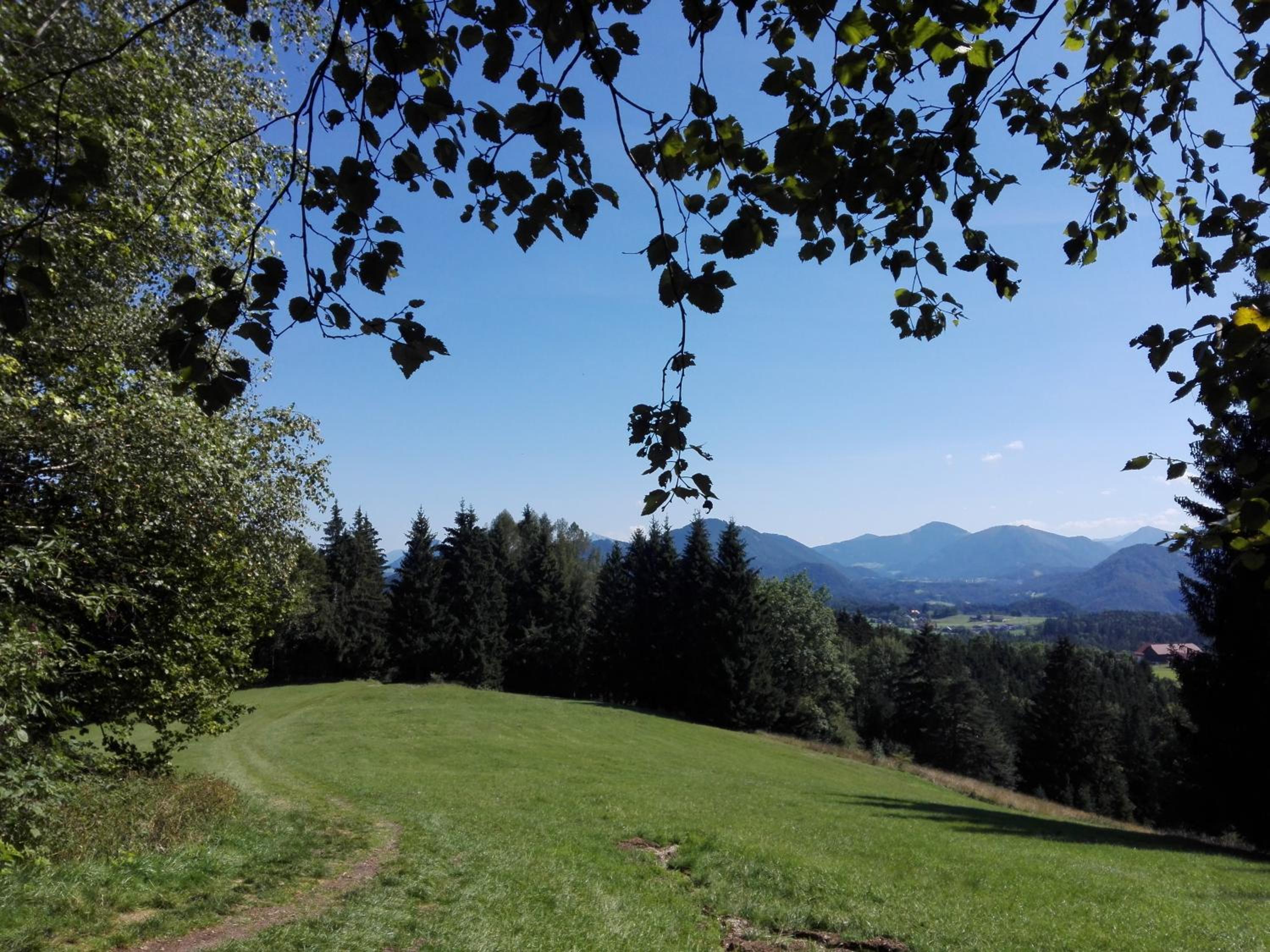 Schusterbauer