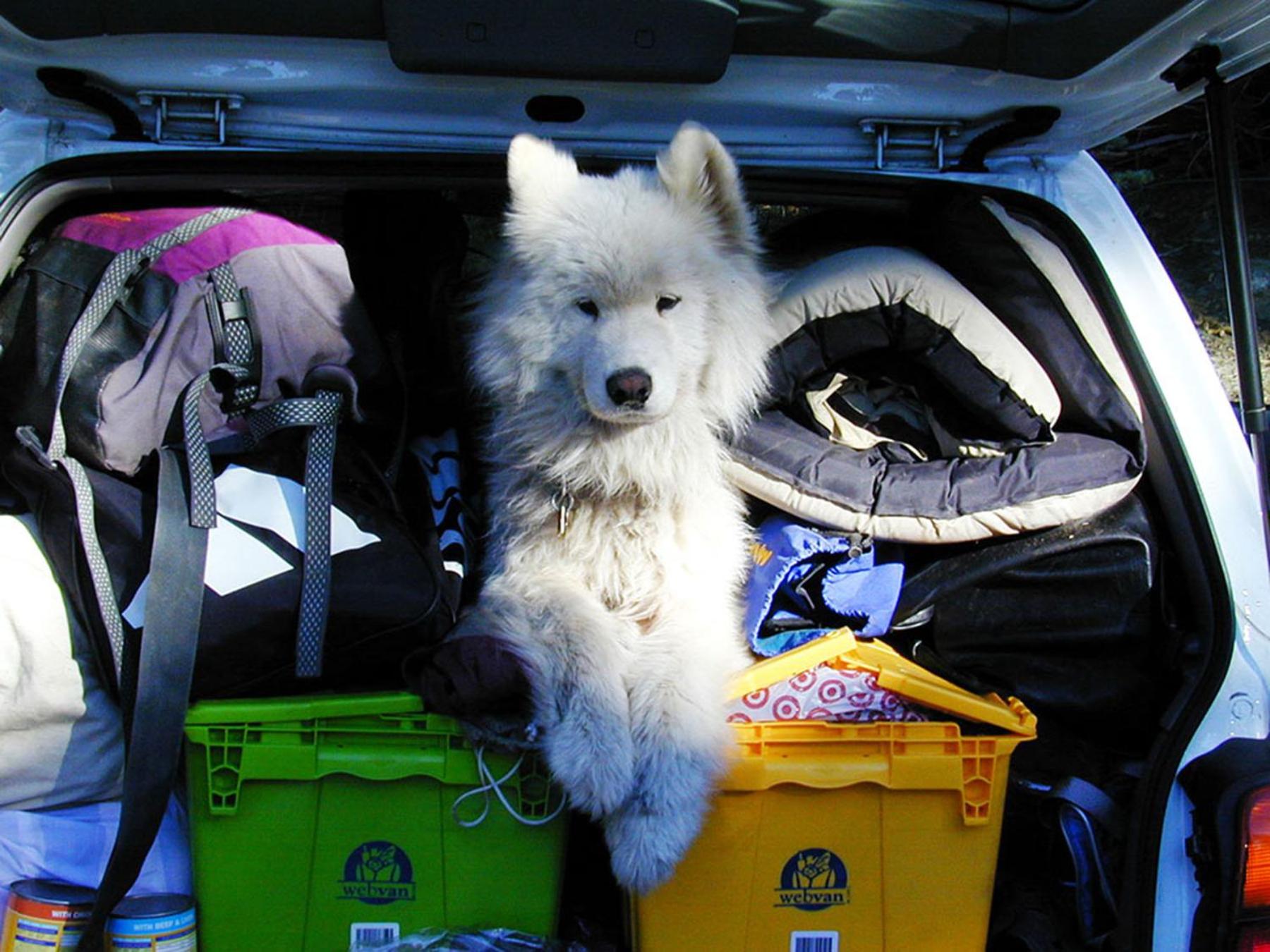 Camping Le Val de Cesse