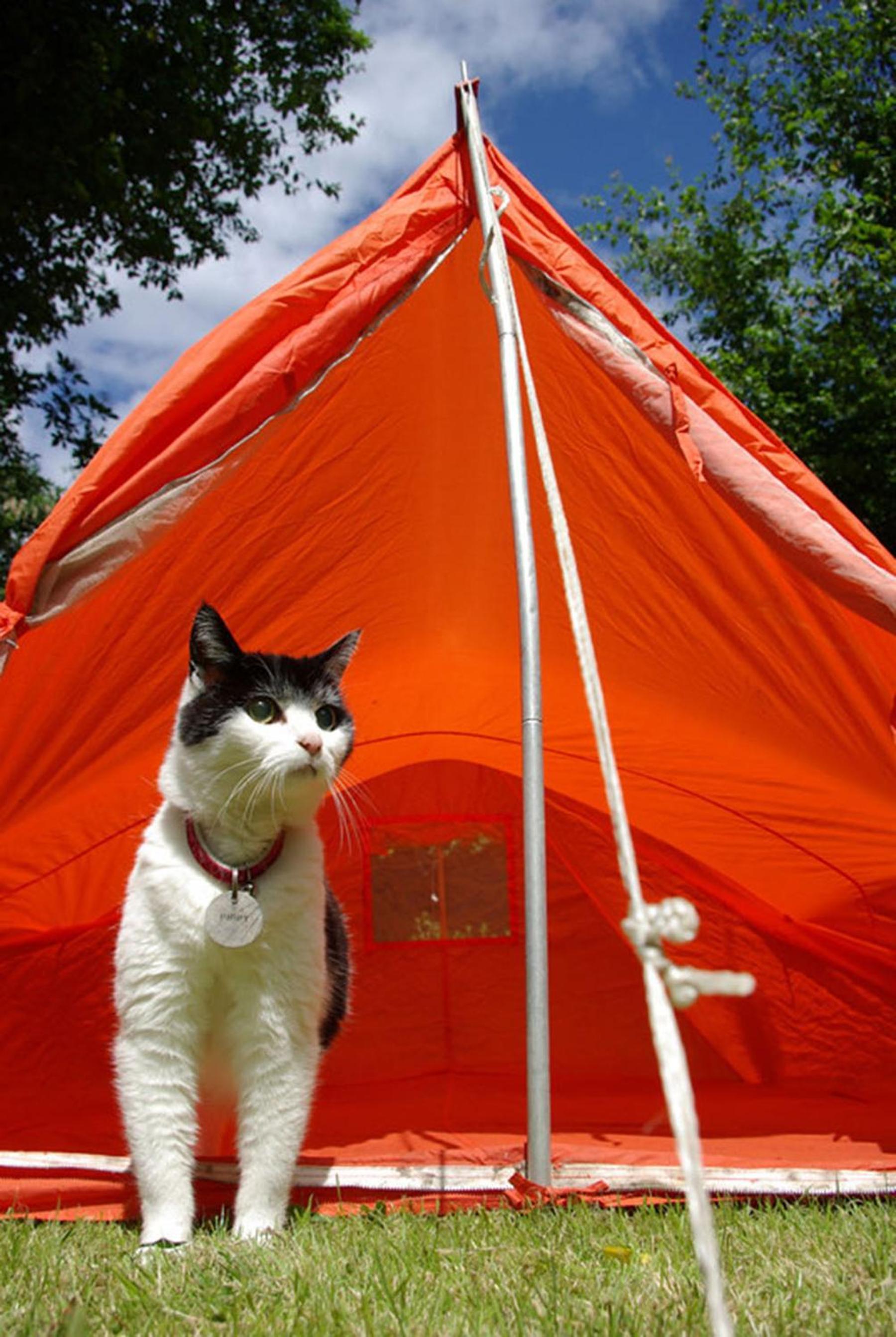 Camping Le Val de Cesse
