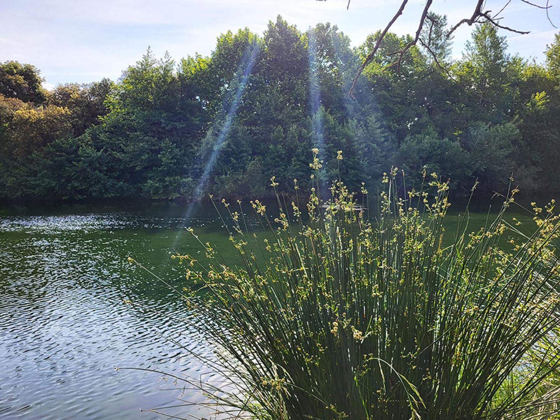 Camping Le Val de Cesse