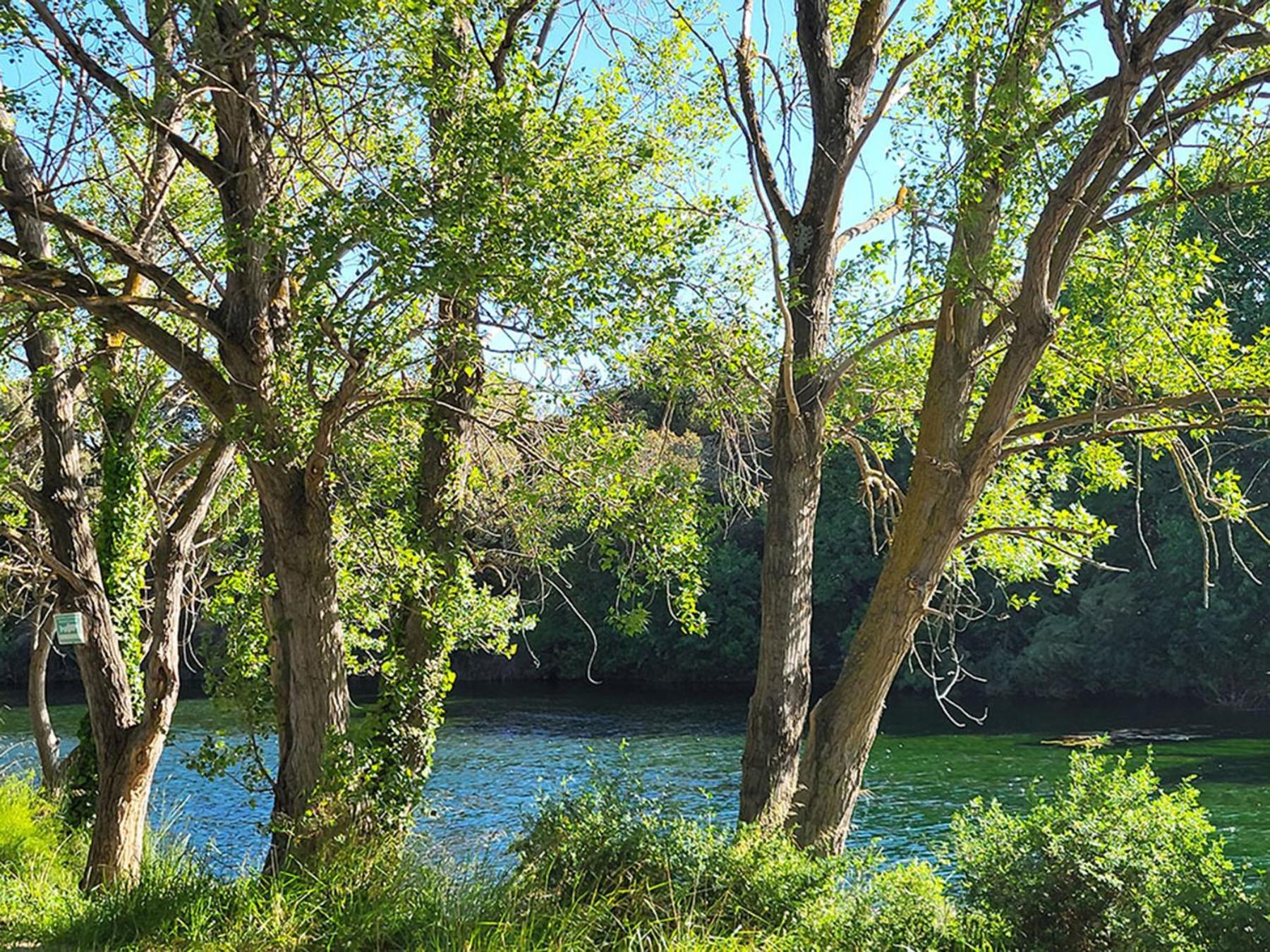 Camping Le Val de Cesse