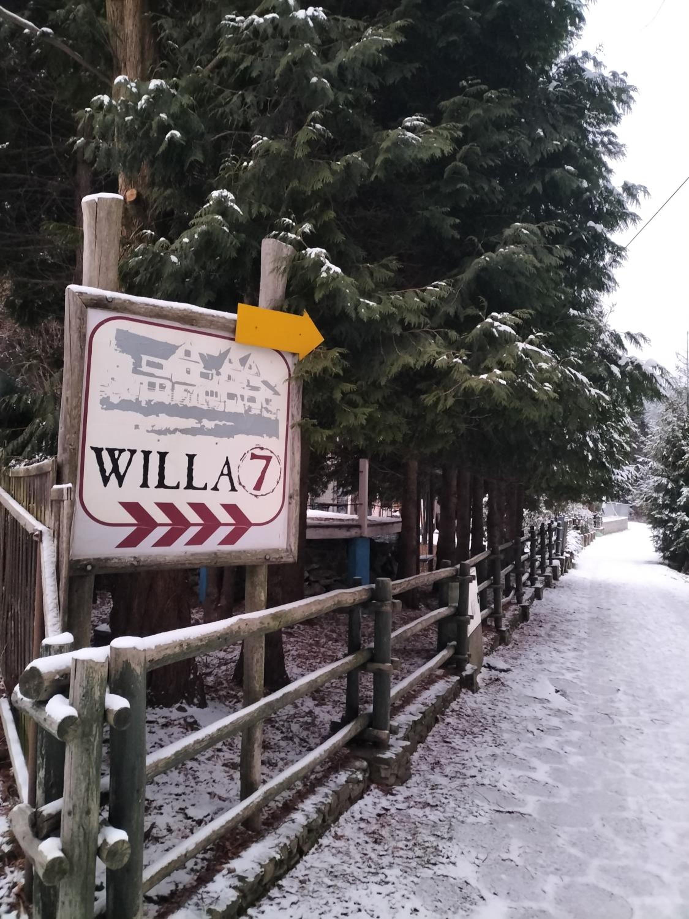 Willa 7