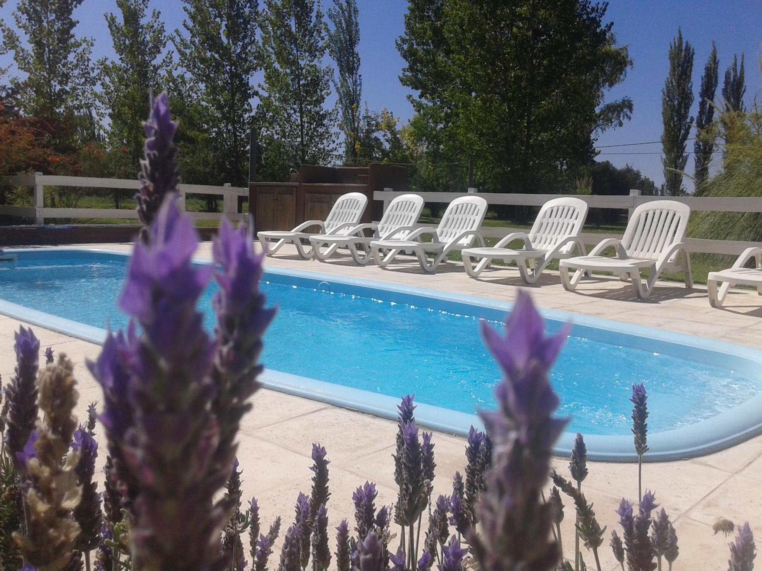 Villa Ciruelos