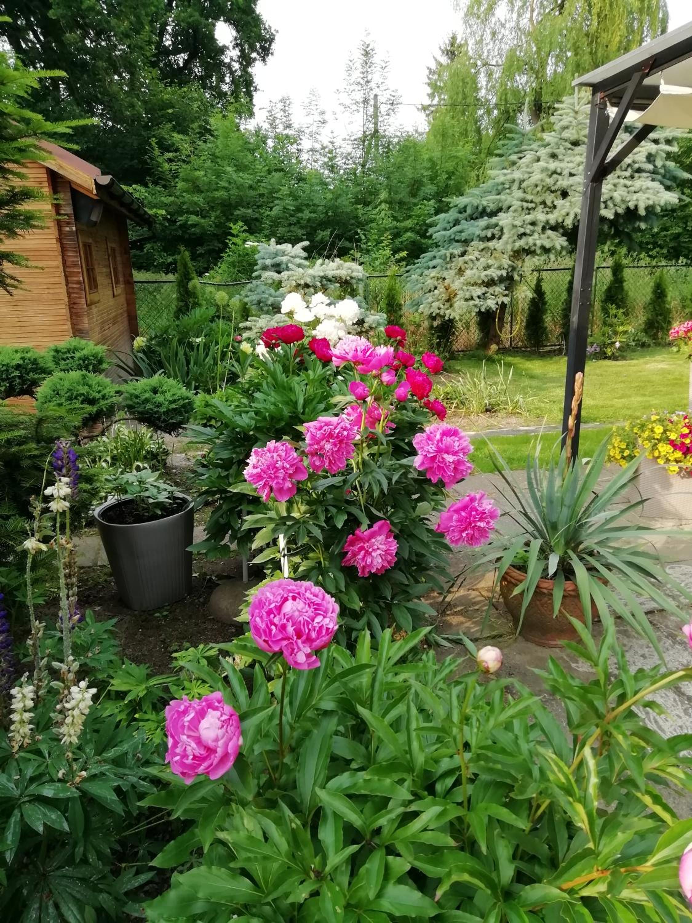 Photo 38