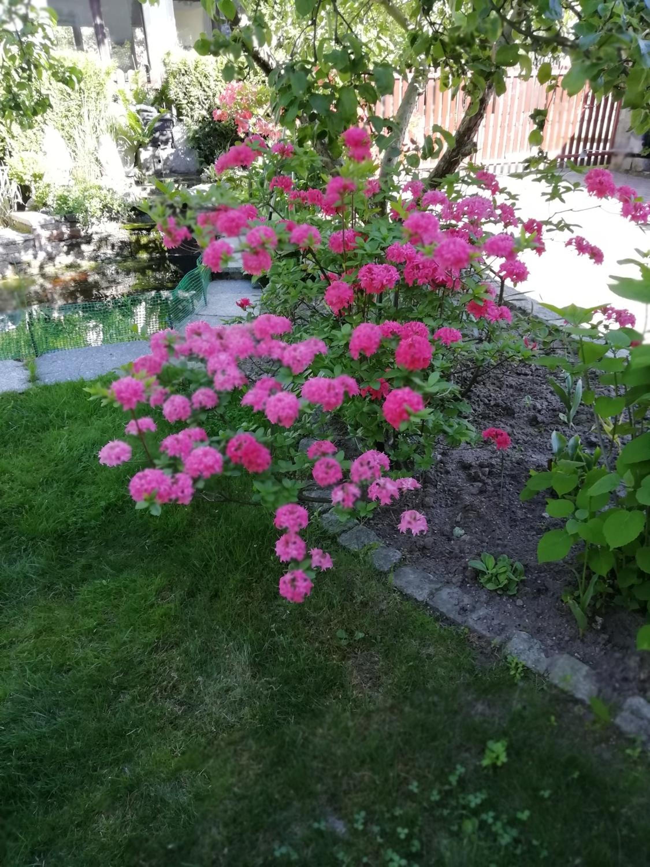 Photo 33