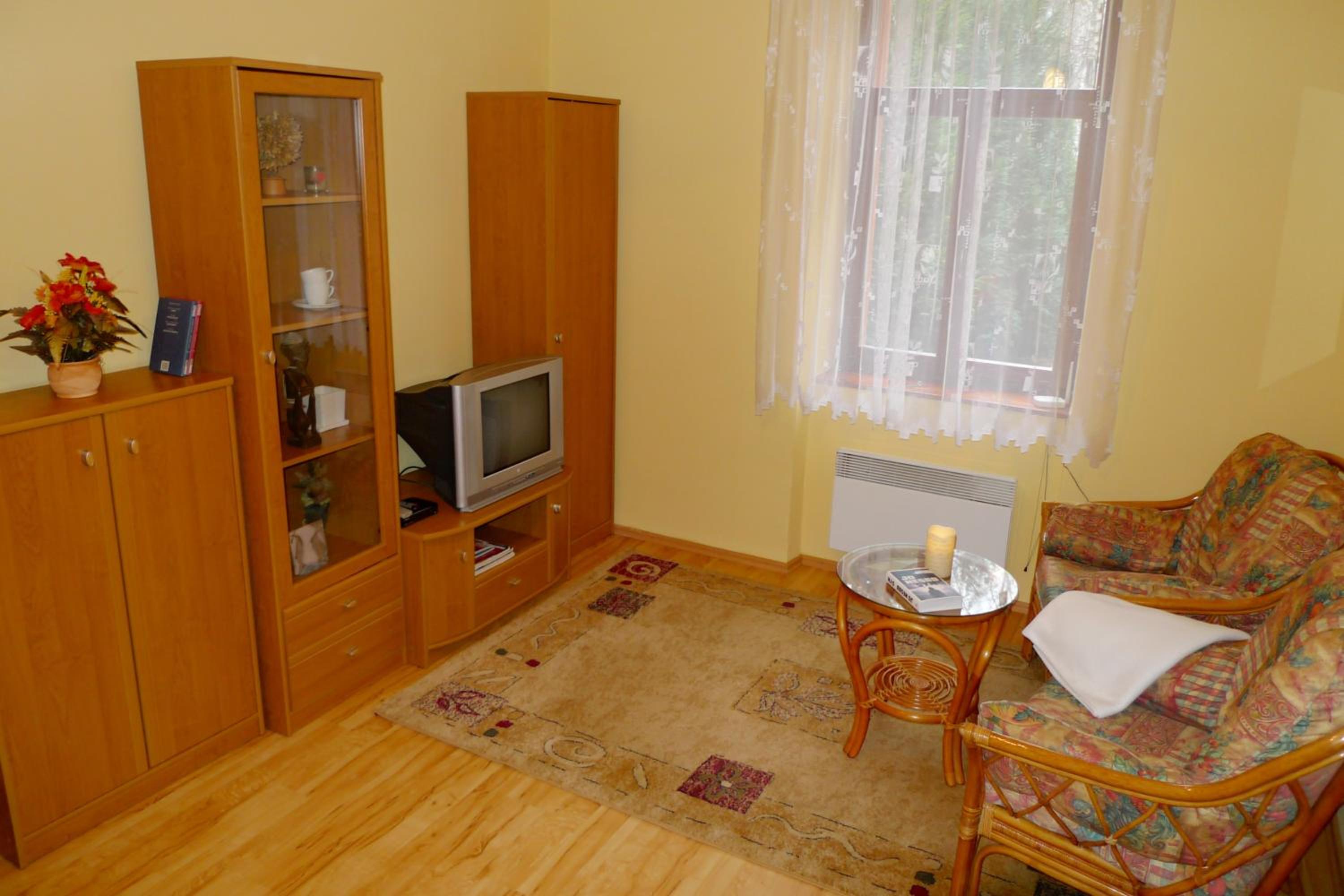 Apartment Kamenná view 2