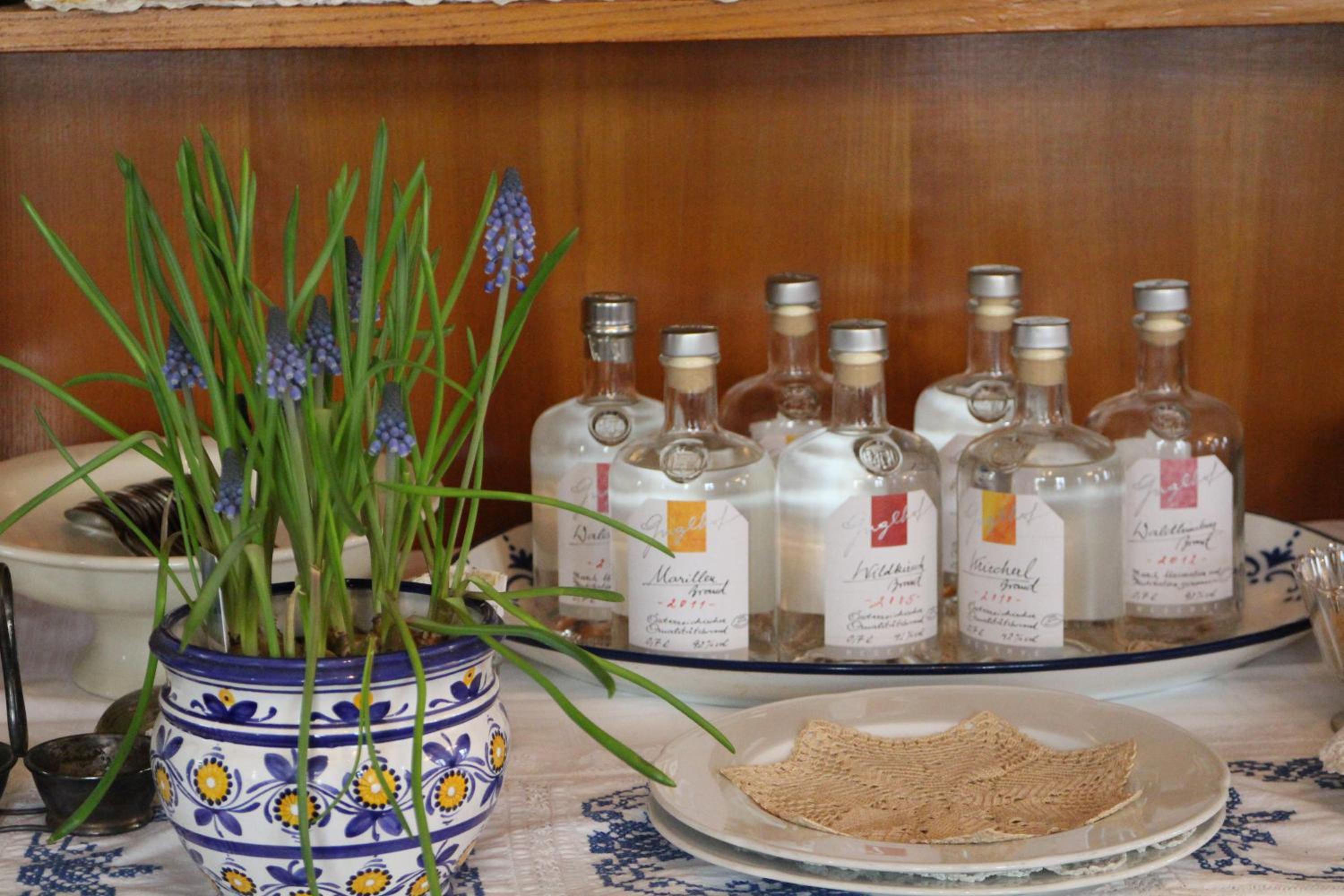 Hametner mit Innviertlerhaus mit Thermenzugang