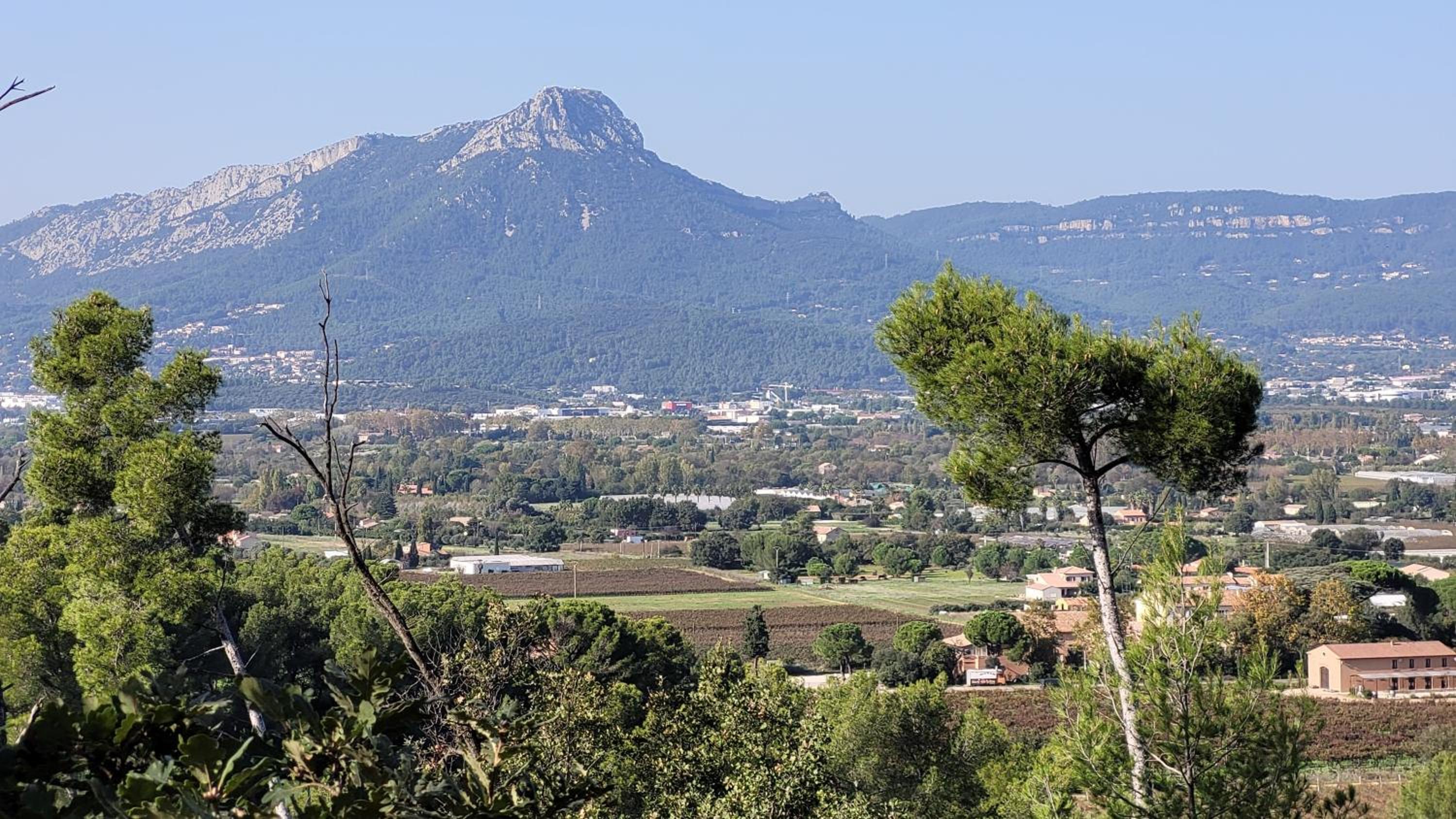 les Marronniers