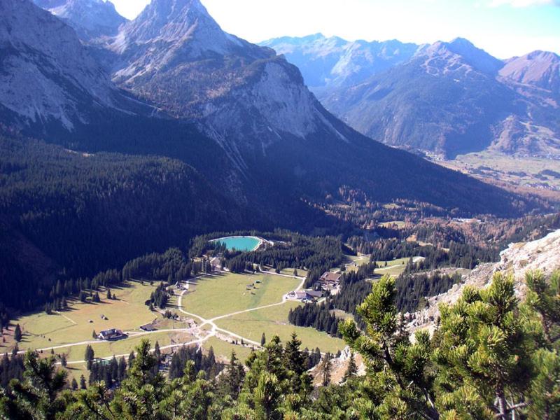 Bettina