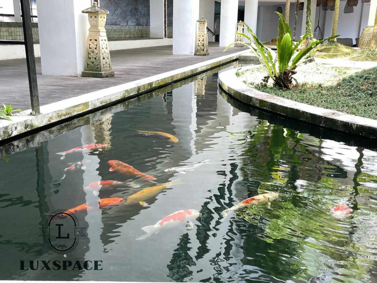 Kuching BDC Rex Apartment Near KPJ