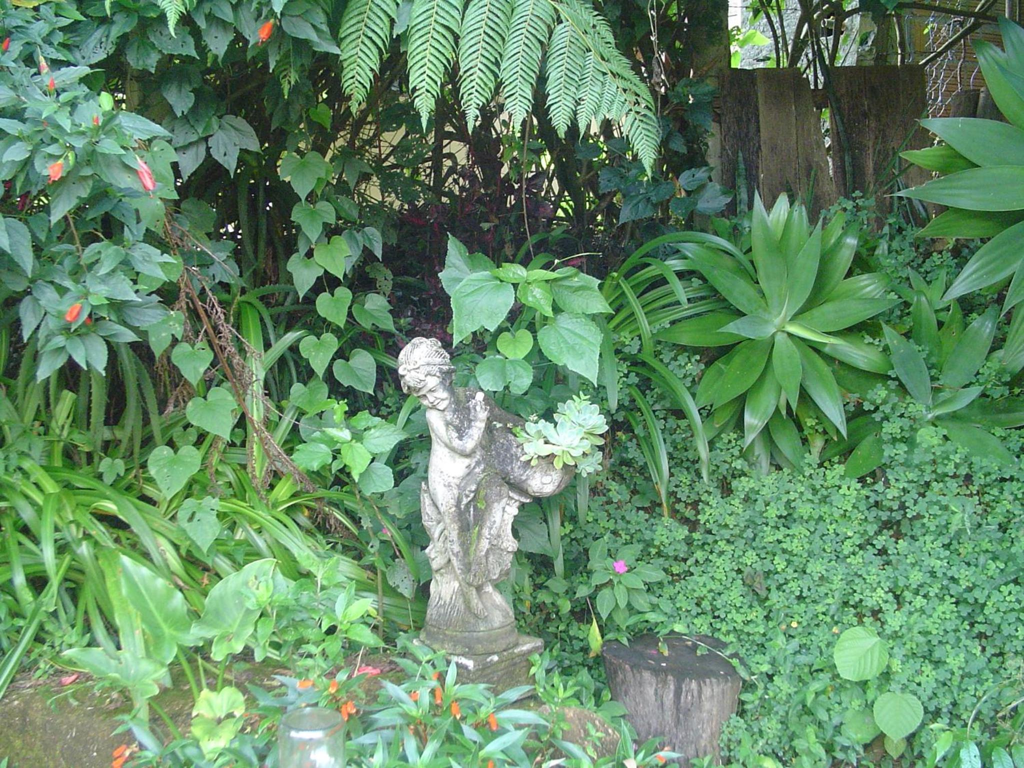 Photo 62