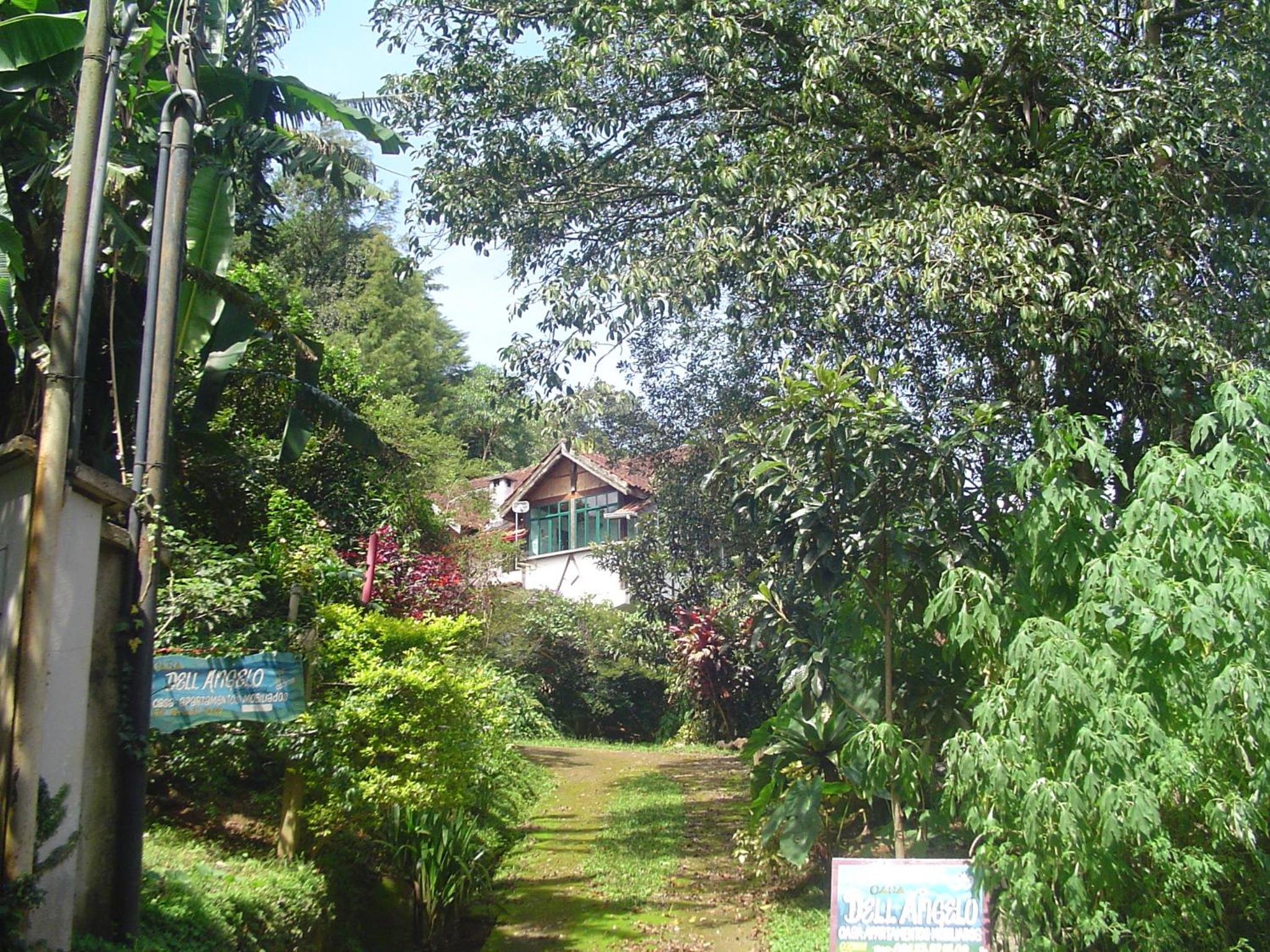 Photo 40