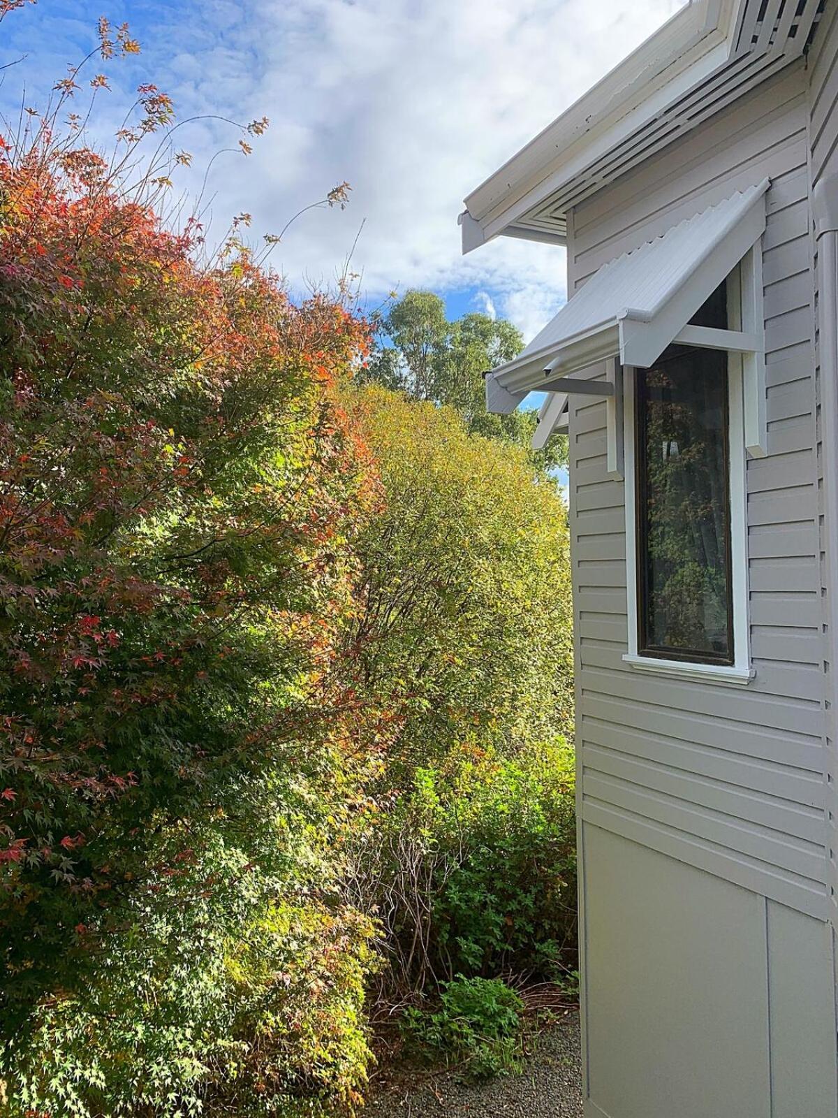 Hilltop Cottage Bridgetown