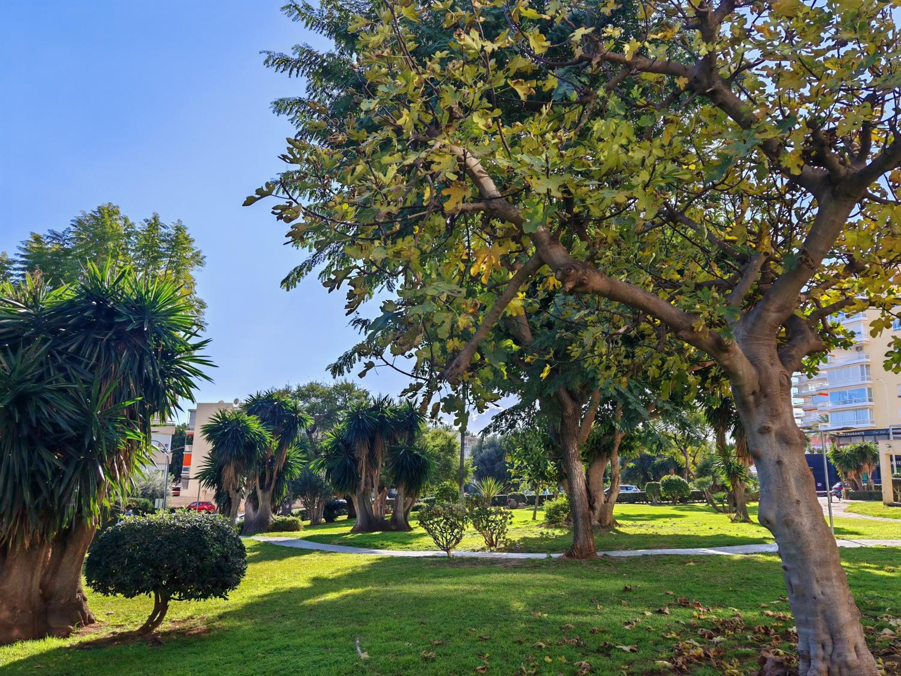 Casa Rosa at Green parrot apartments at Carihuela
