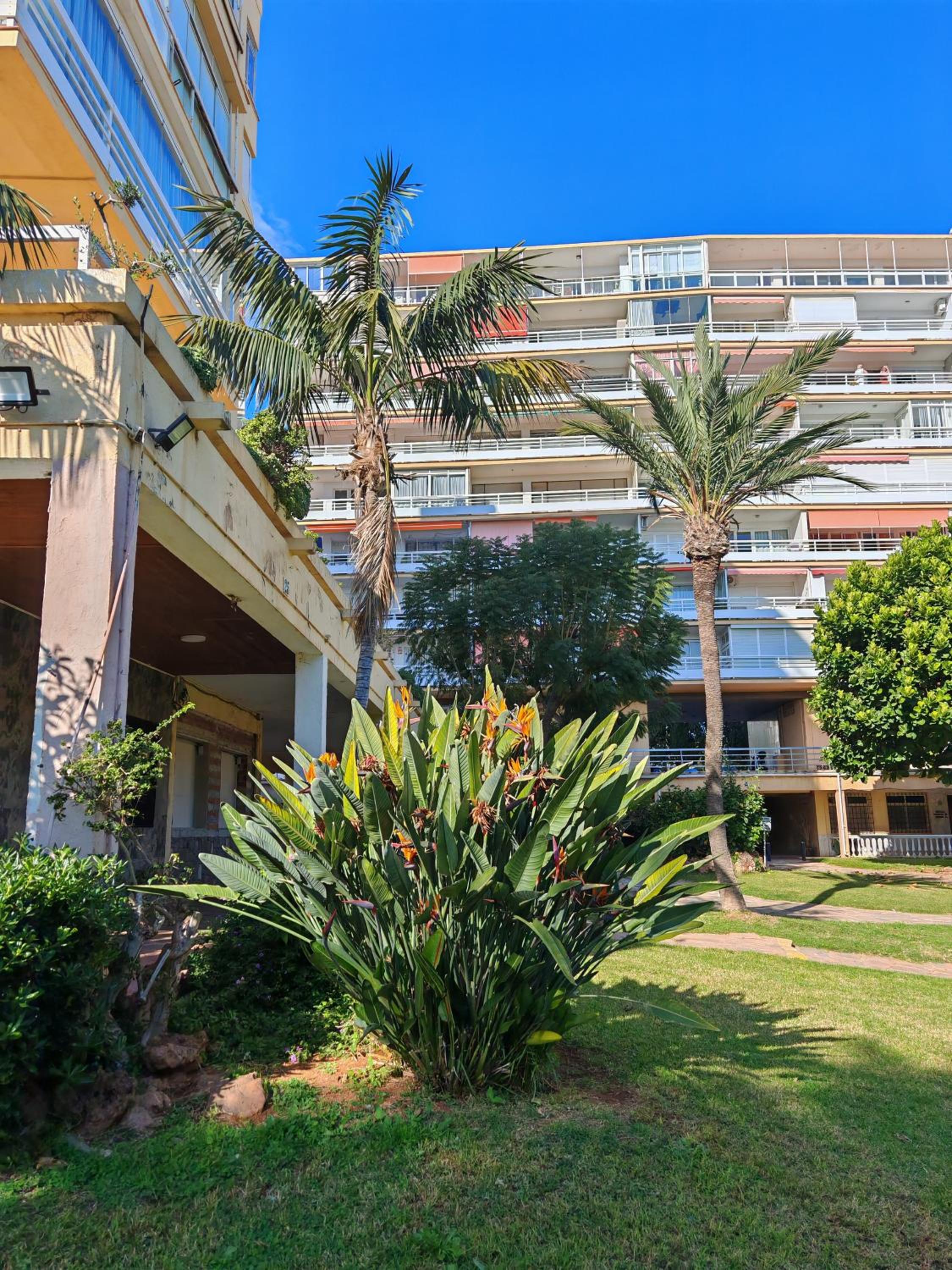 Casa Rosa at Green parrot apartments at Carihuela