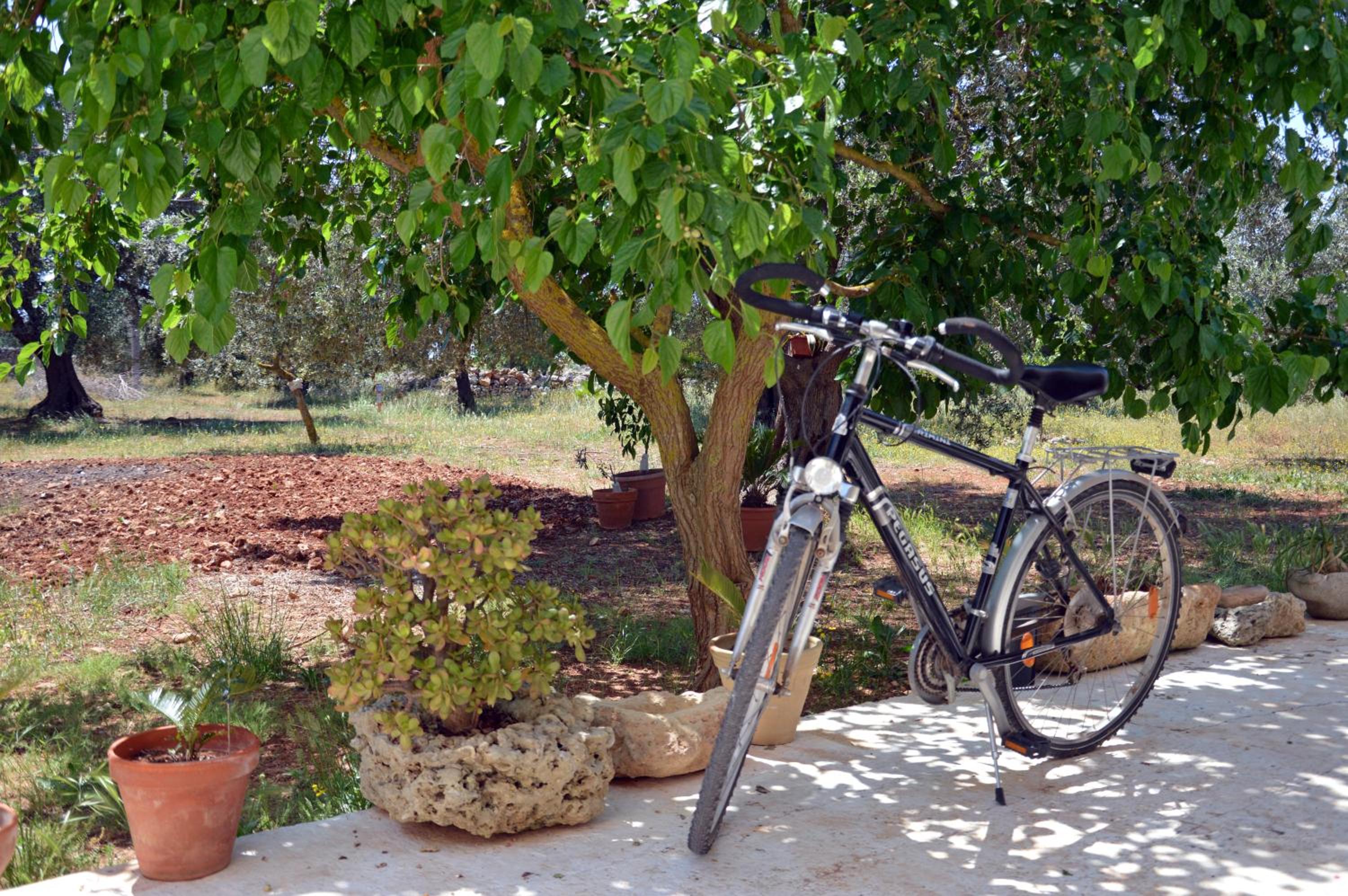 Agriturismo Tenuta Del Morige