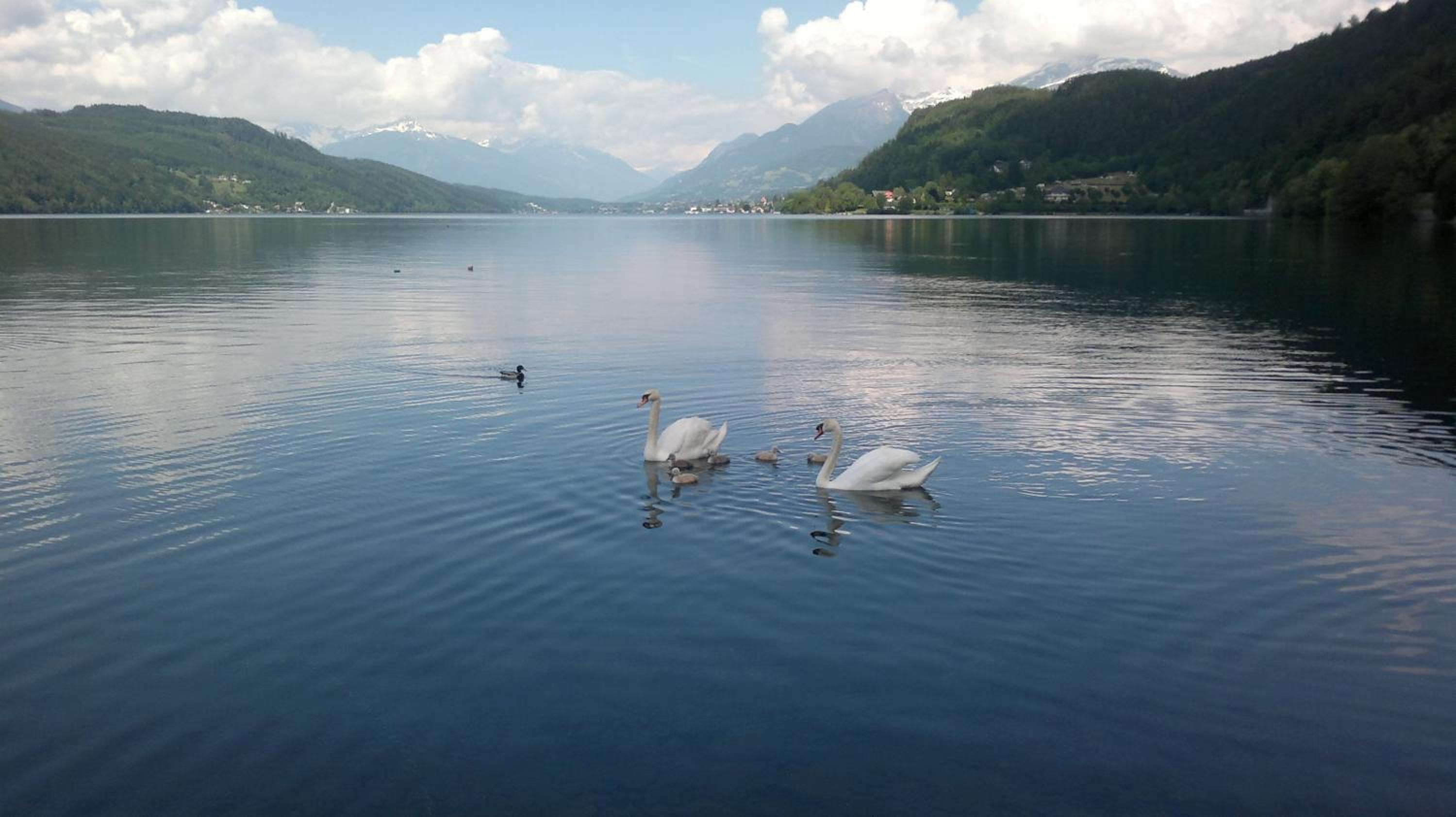 Ferienwohnungen Fischerhaus - direkt am See