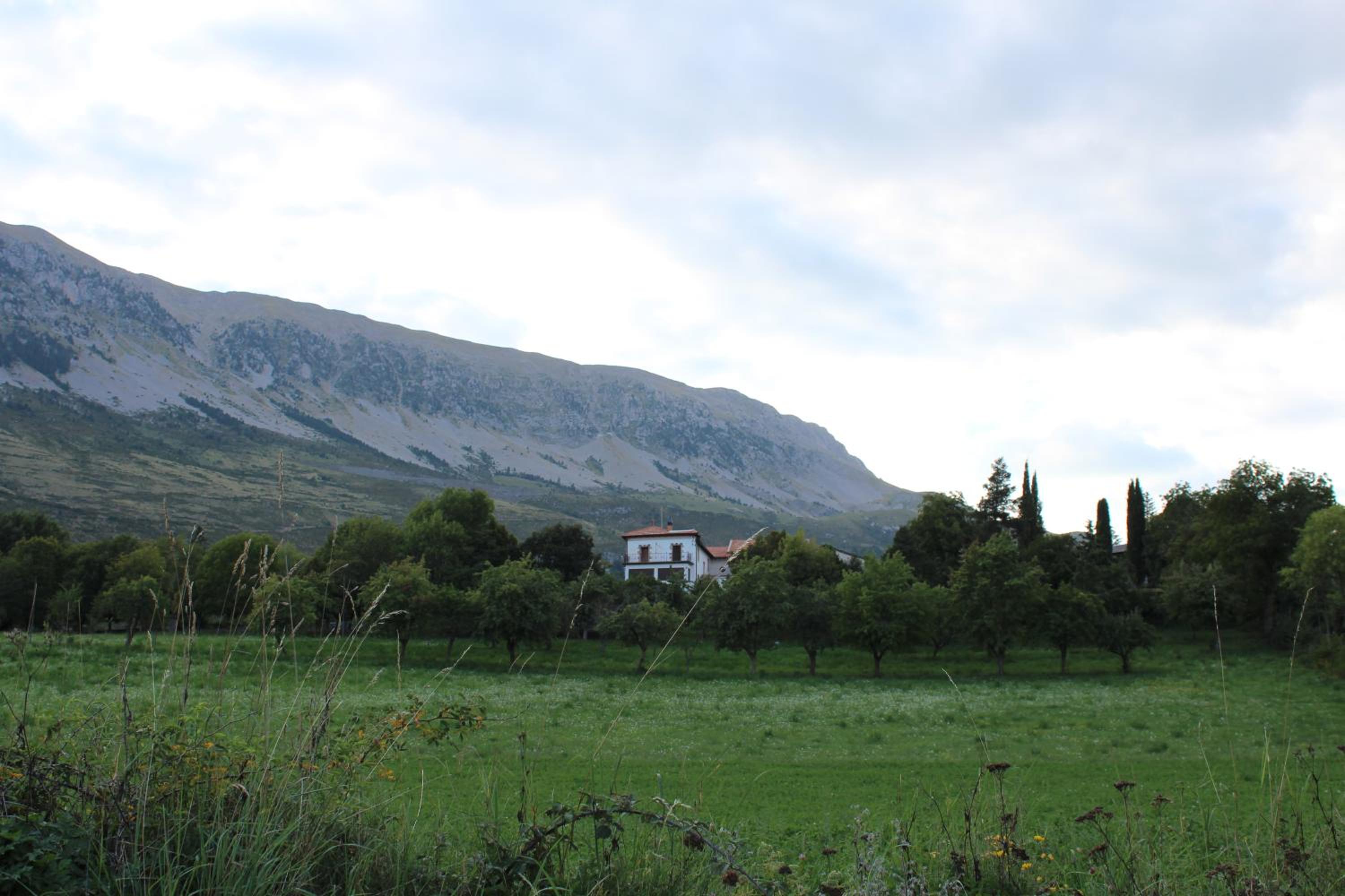 Photo 29