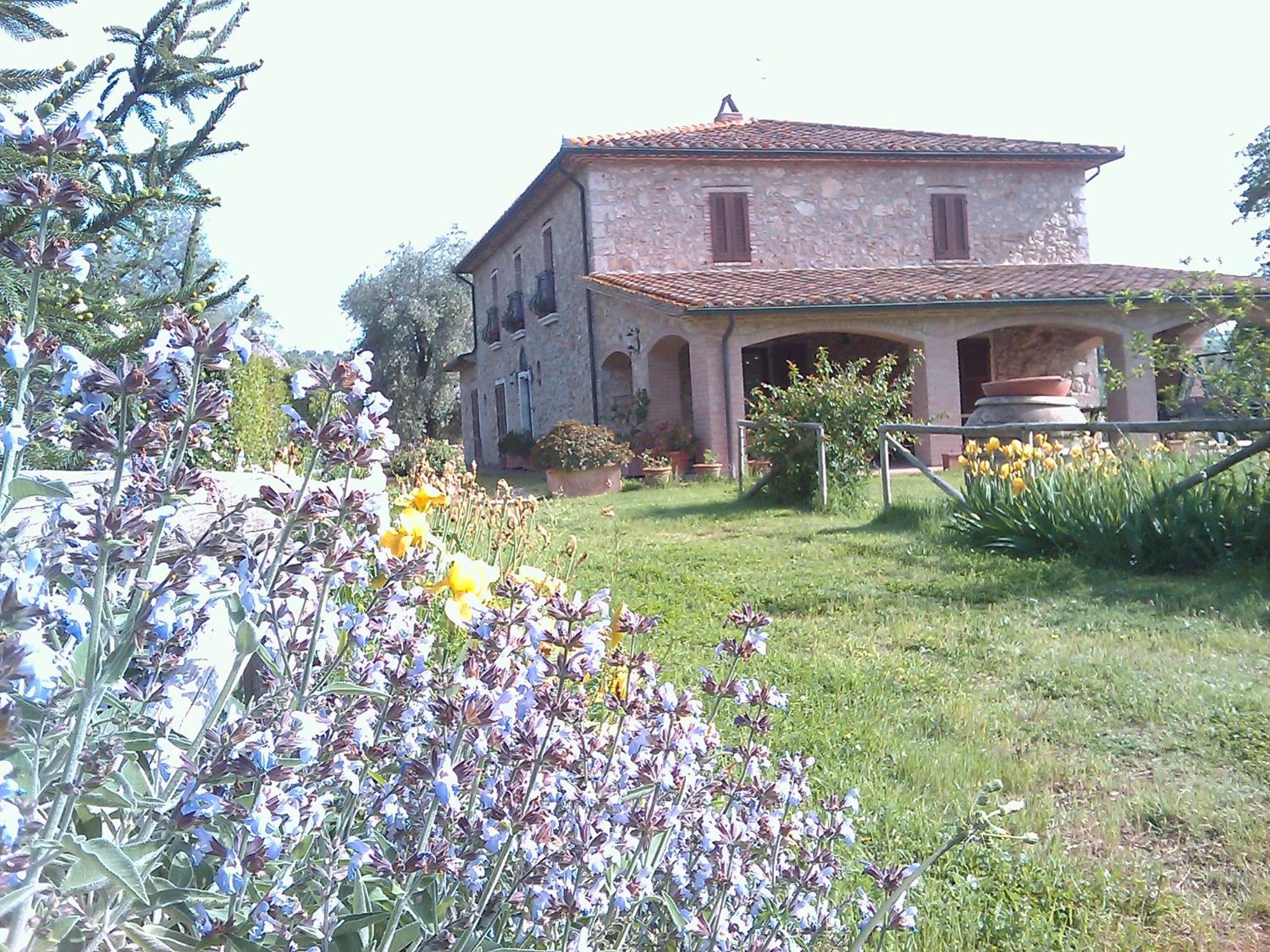 Photo 24