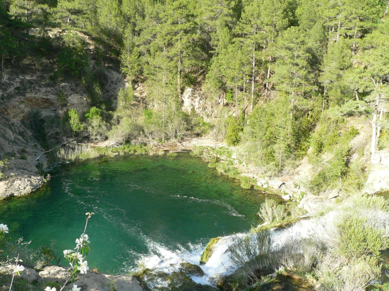 Photo 18