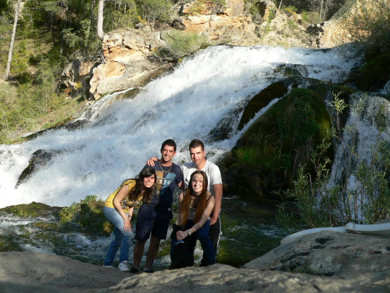 Photo 12