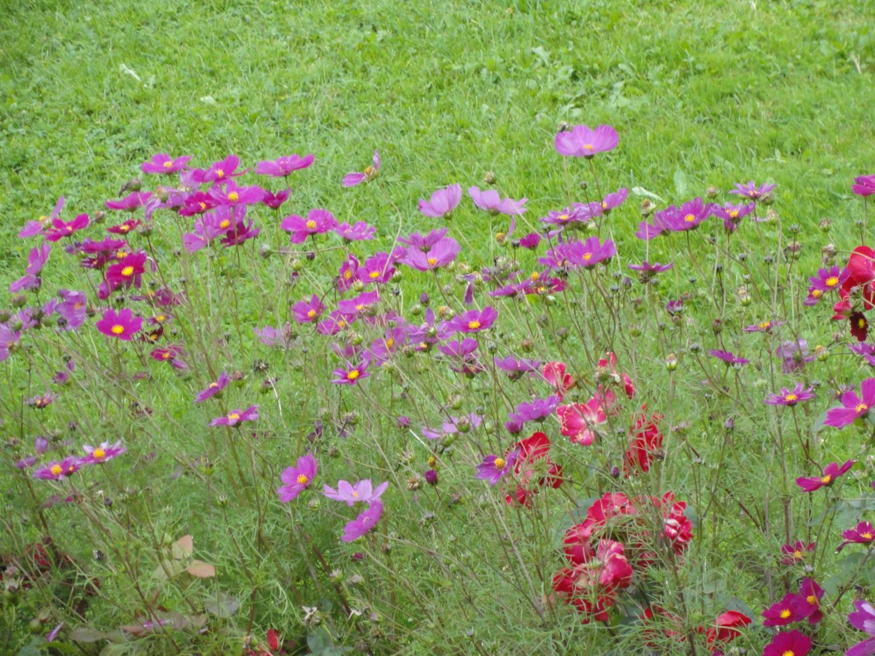 Photo 40