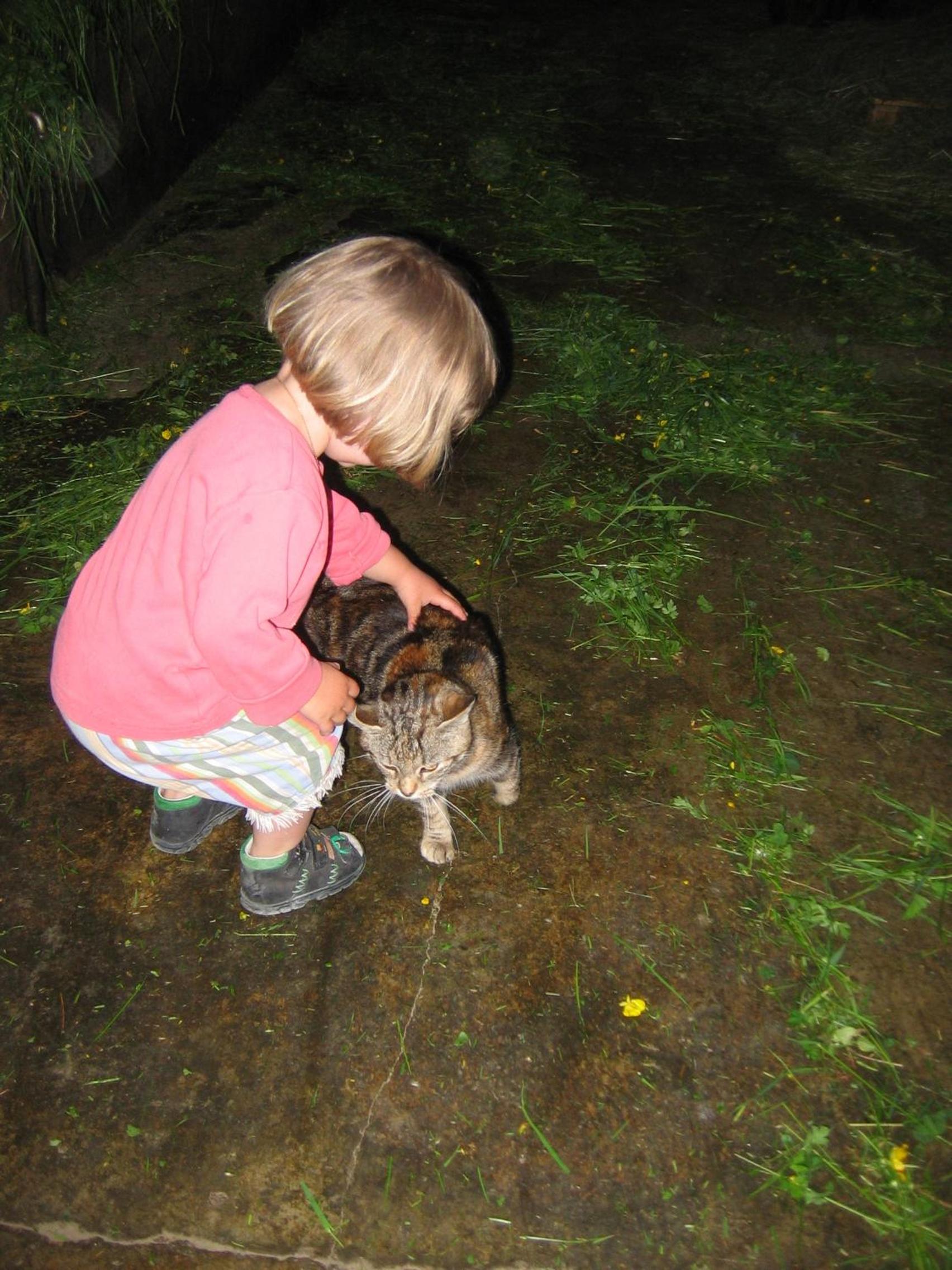 Photo 42