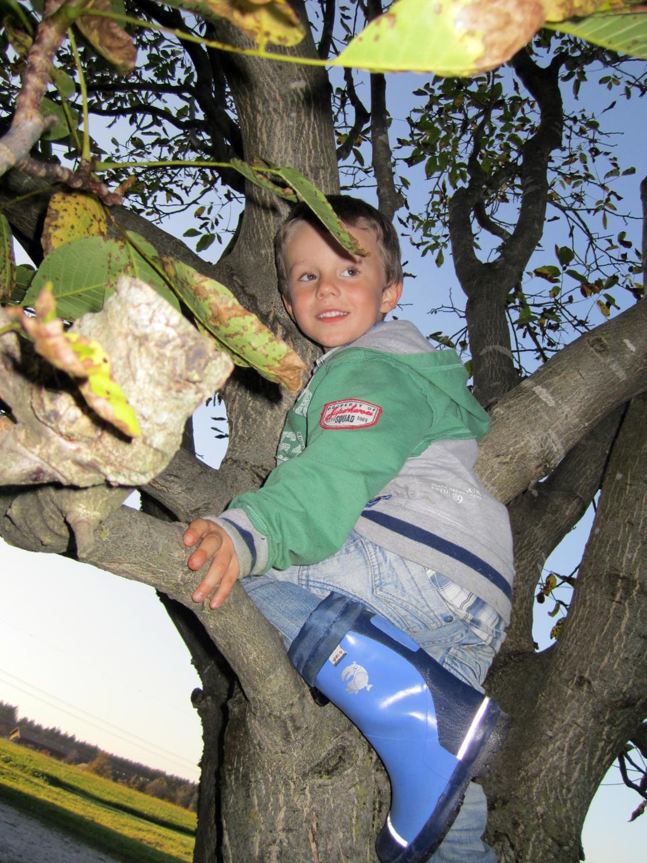 Photo 44