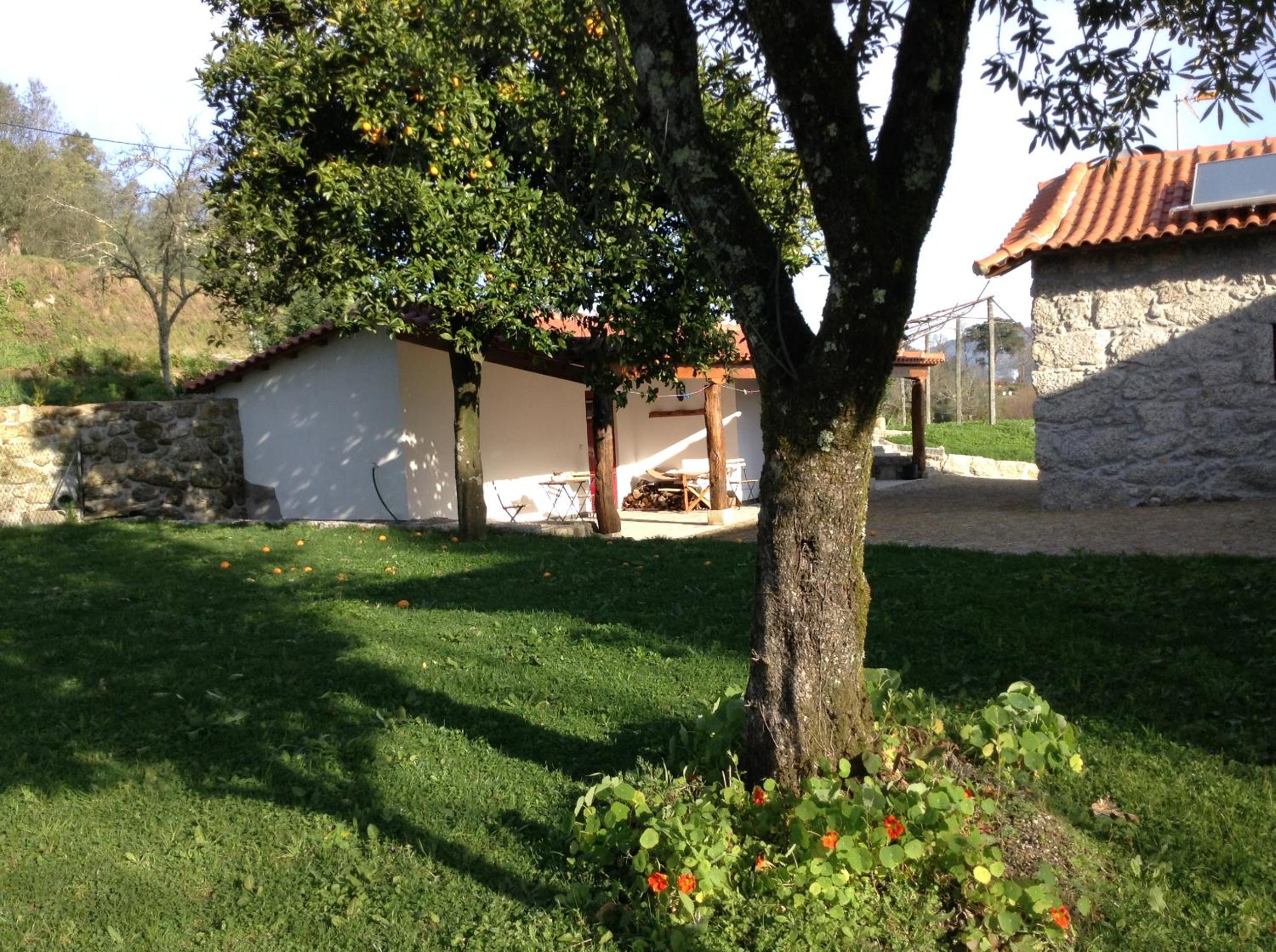 Photo 62