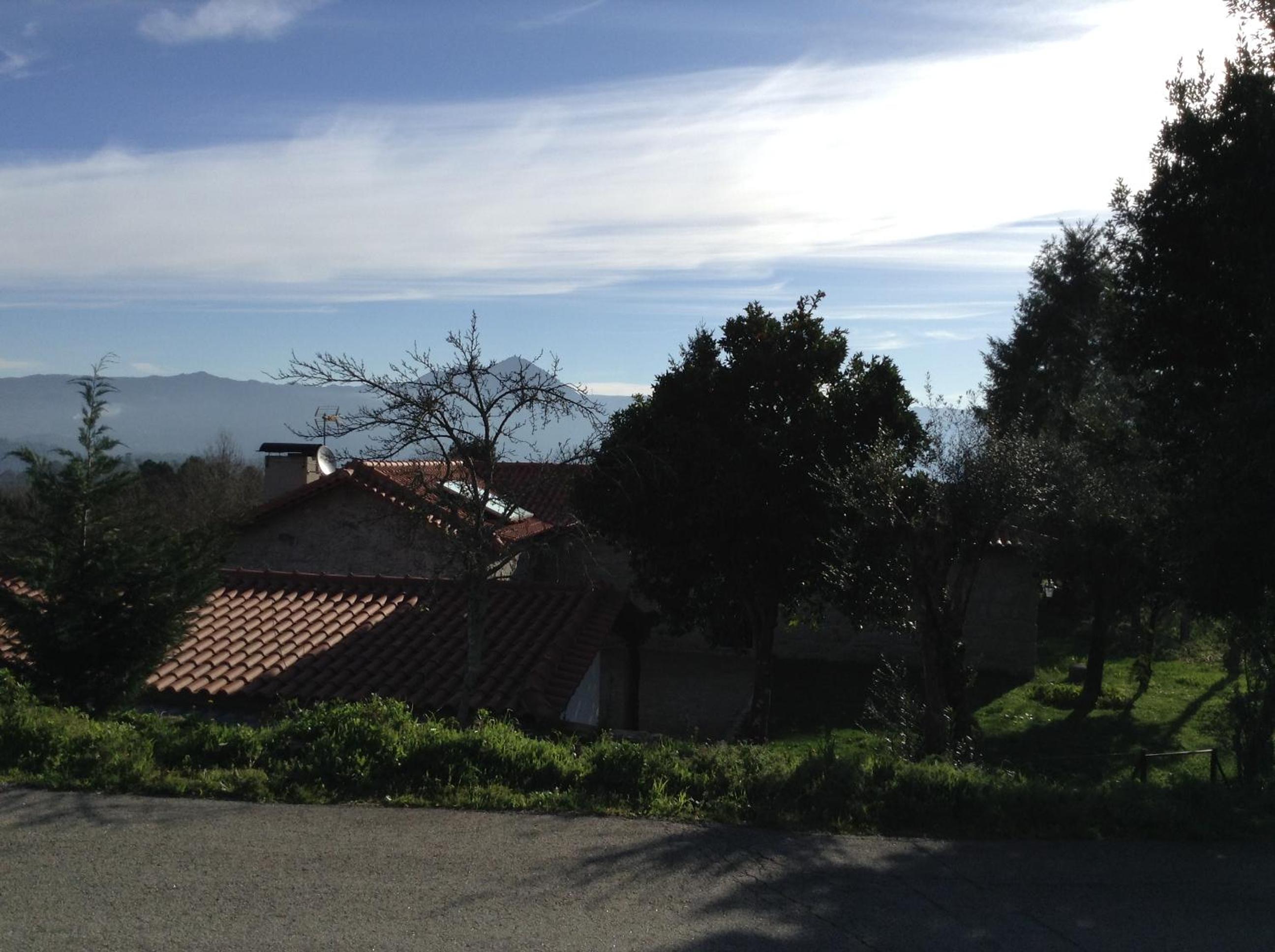 Photo 61
