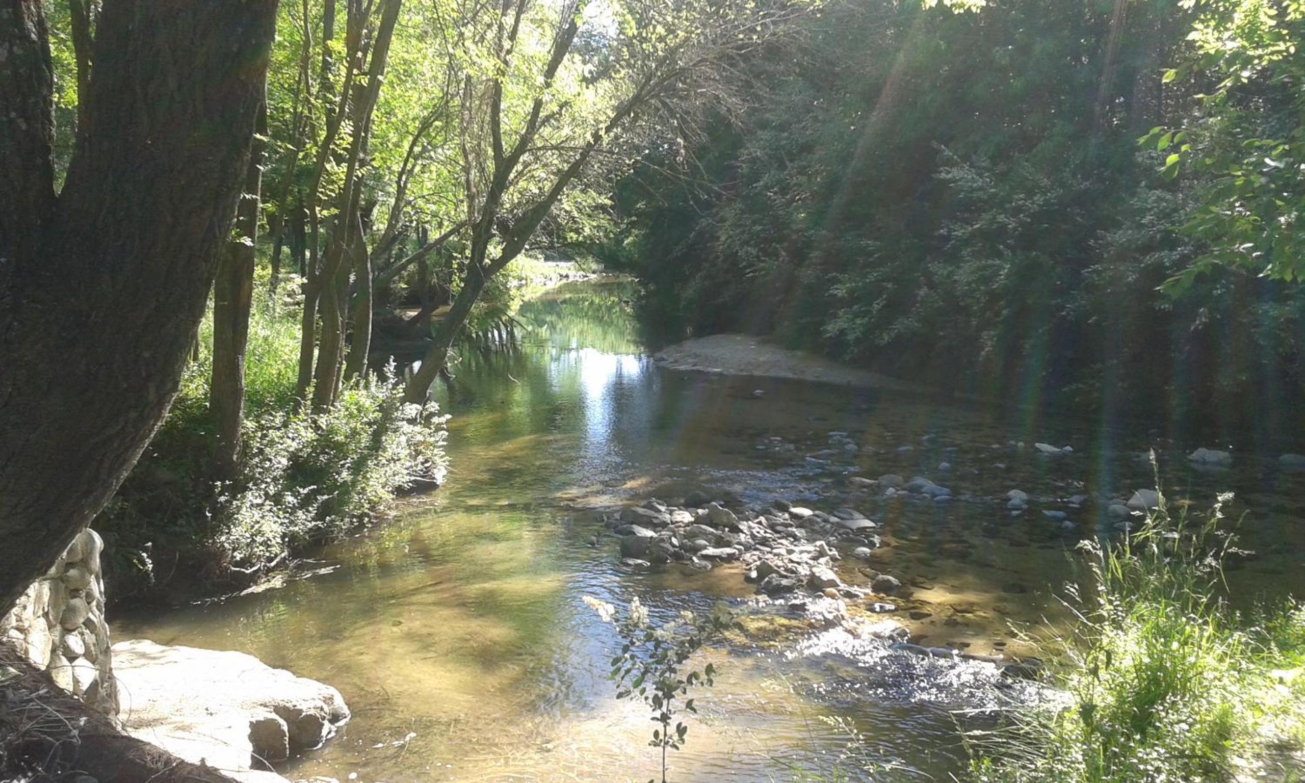 Ensueño Cabañas